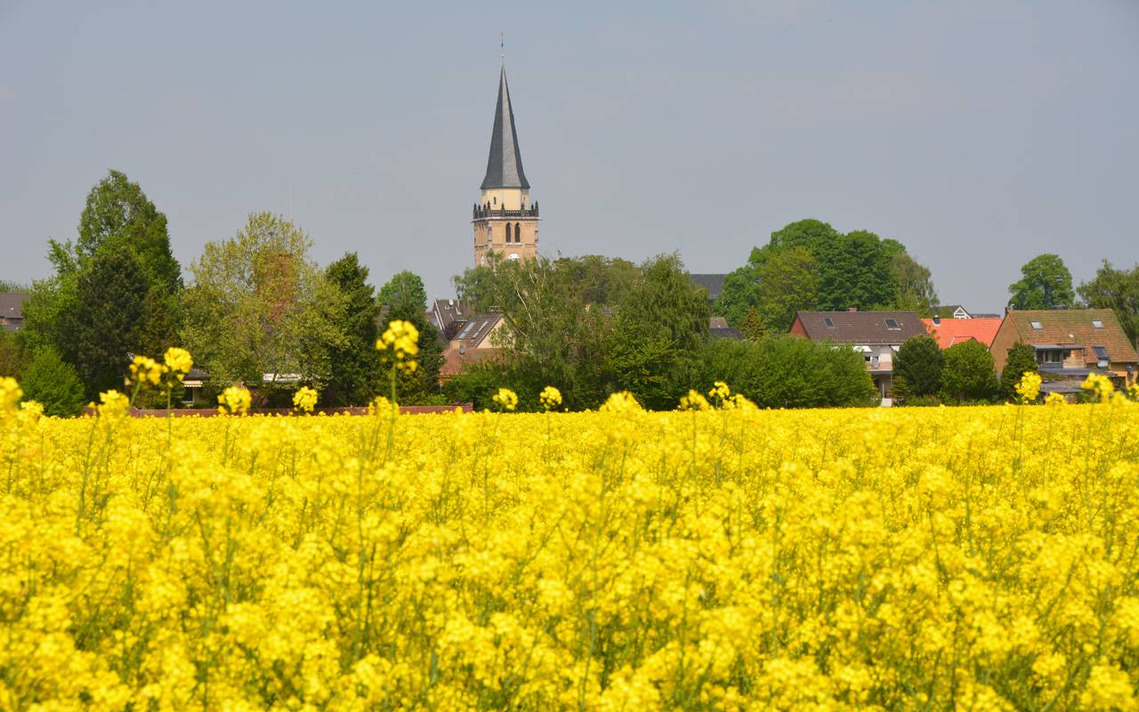 Rommerskirchen Kirche St. Peter