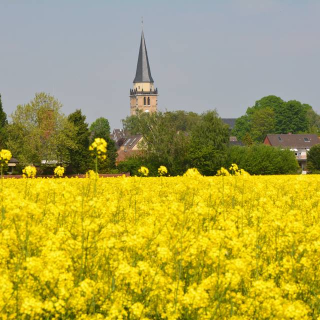 Rommerskirchen Kirche St. Peter