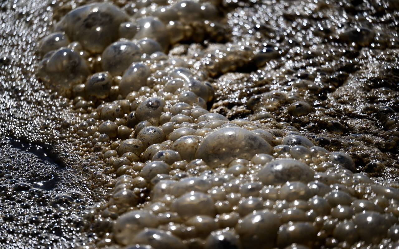 Abwasser in einer Kläranlage