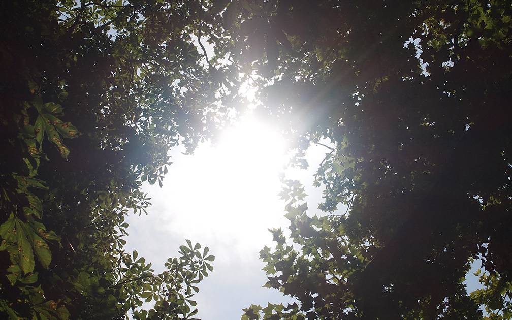 Mitfuhren Und Verzehr Von Alkohol In Bestimmten Bereichen Verboten