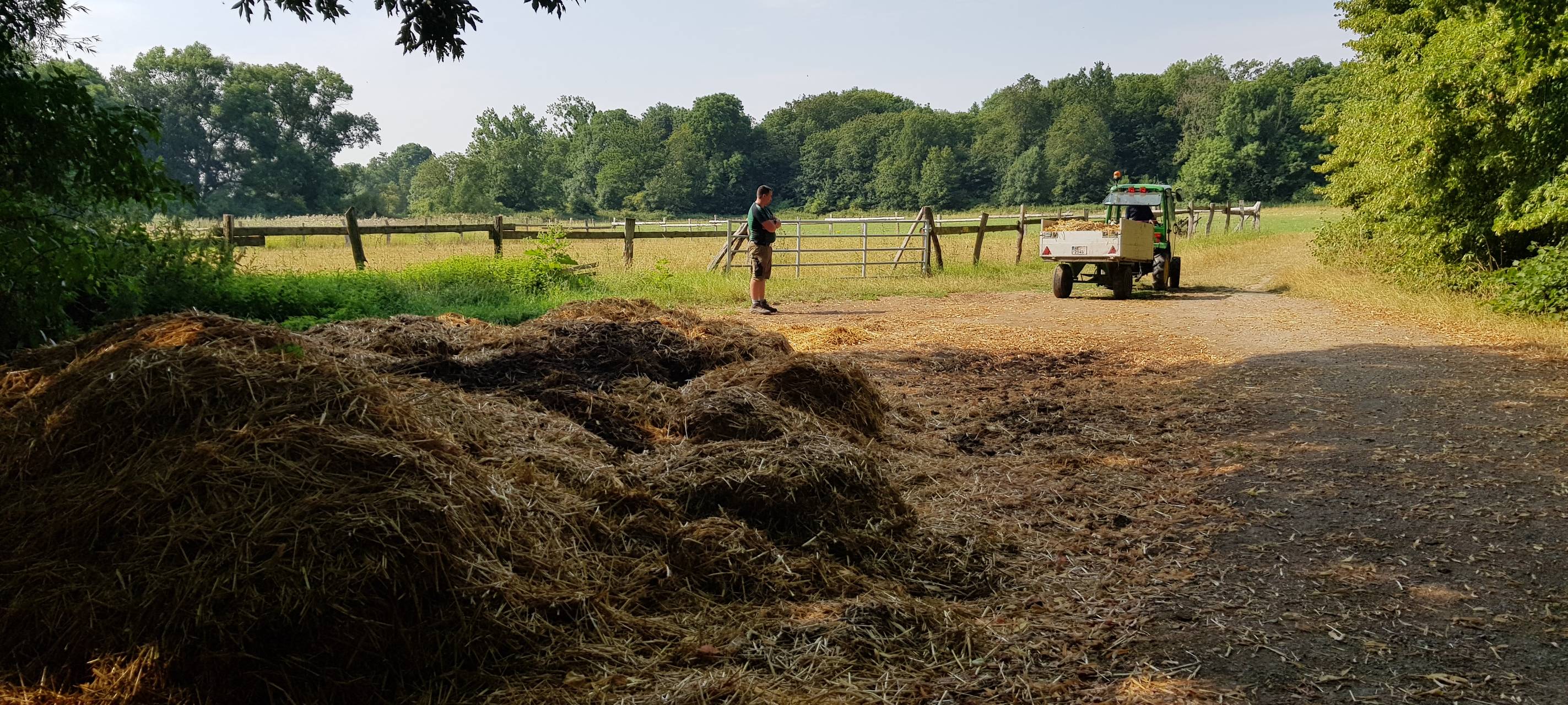 Einen Tag als Eselpfleger