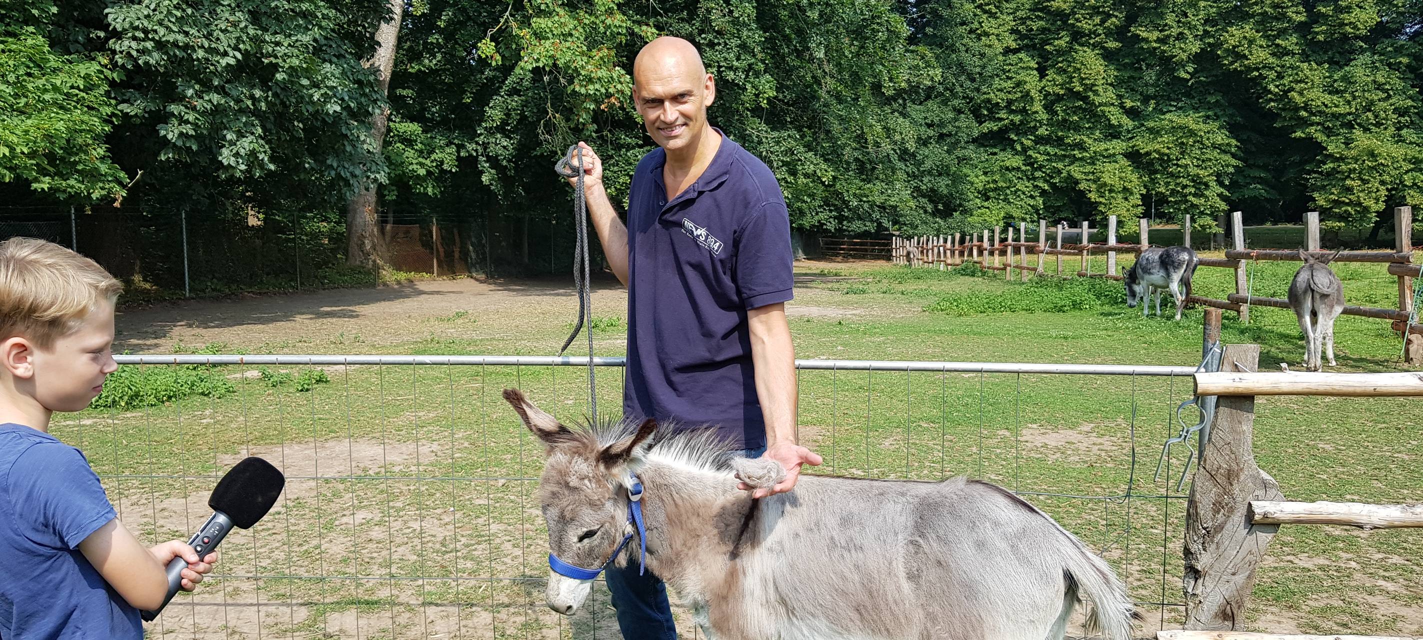Einen Tag als Eselpfleger