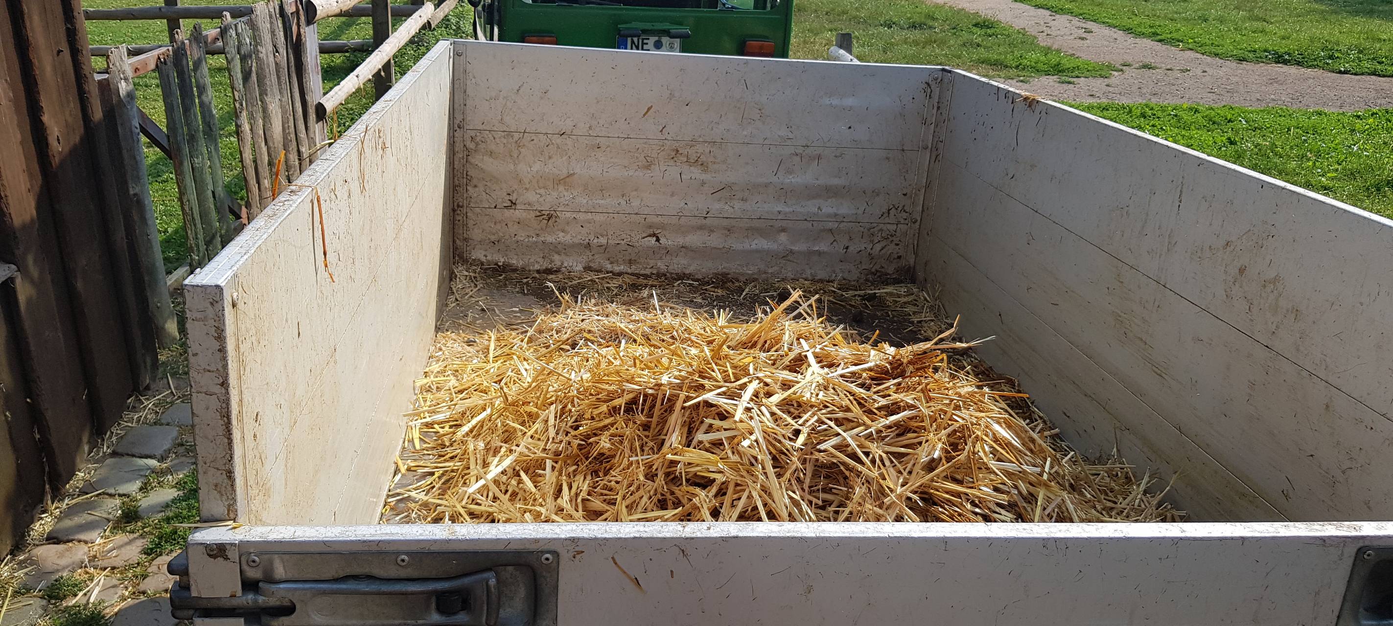 Einen Tag als Eselpfleger