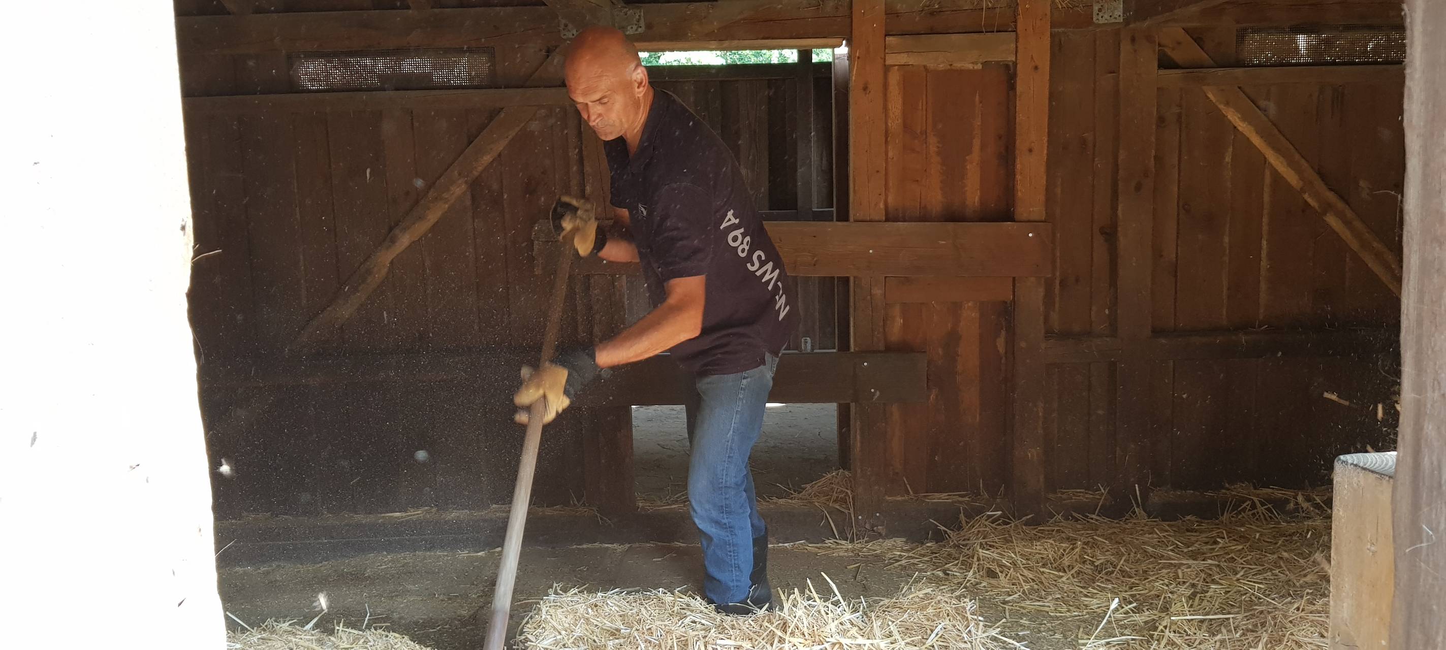 Einen Tag als Eselpfleger