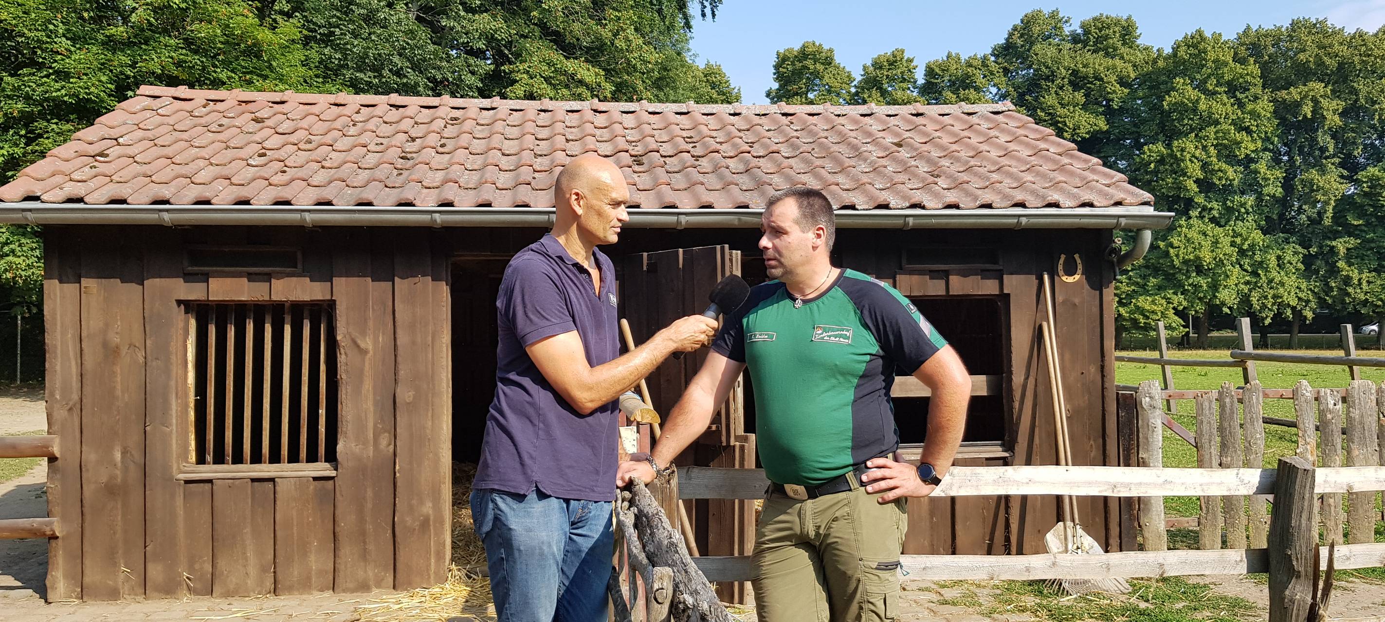 Einen Tag als Eselpfleger