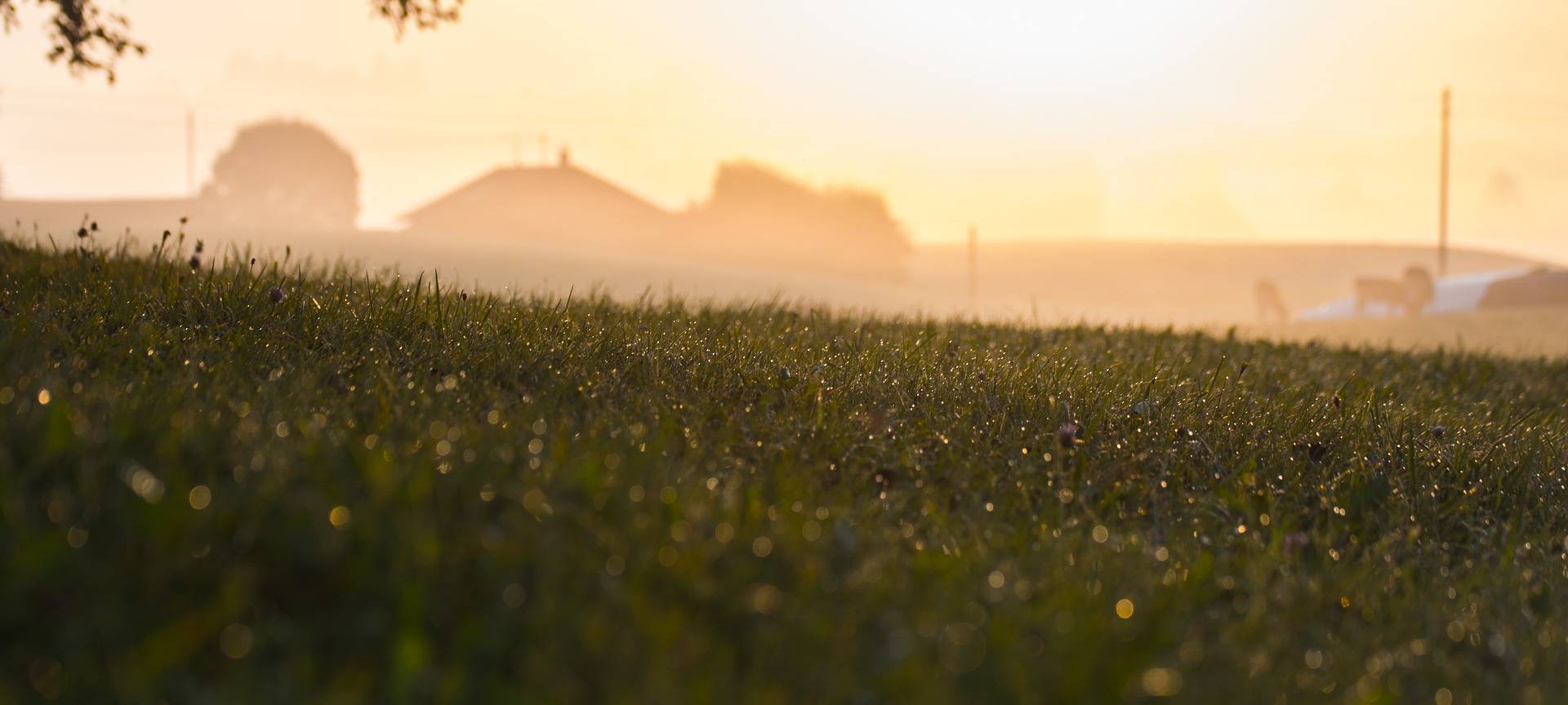 Neubaupläne der Stadt Meerbusch sorgen für Ärger