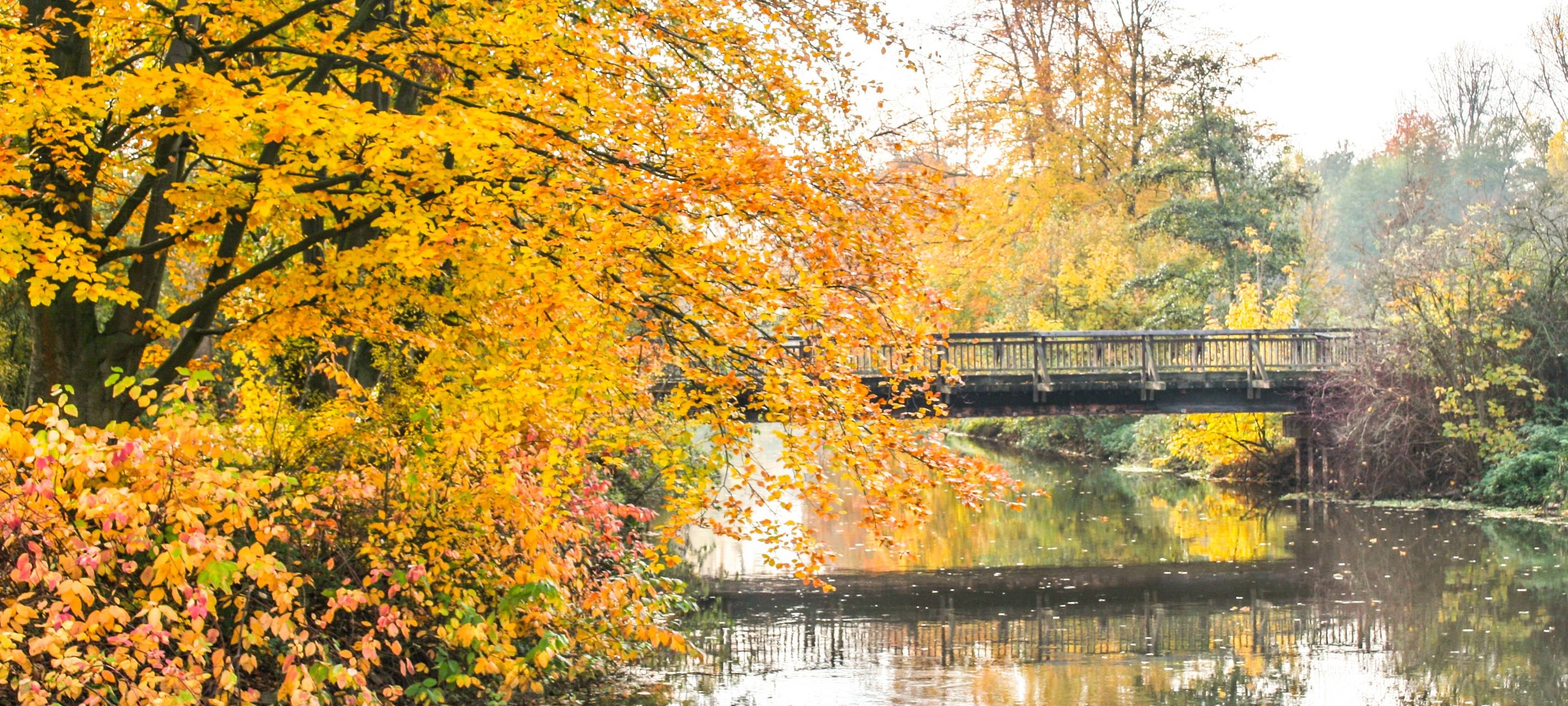 Die Erft bei Grevenbroich
