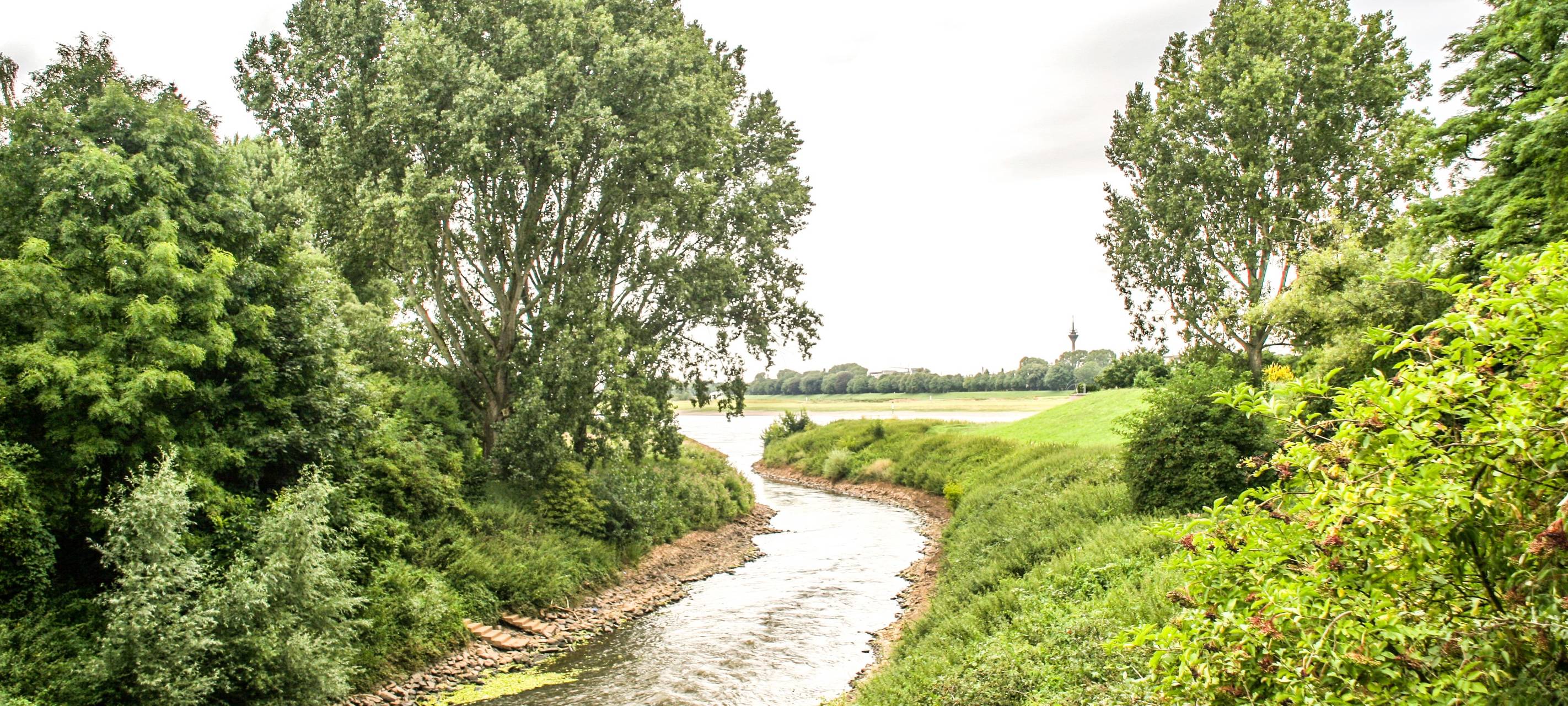 Die Erft mündet bei Neuss in den Rhein
