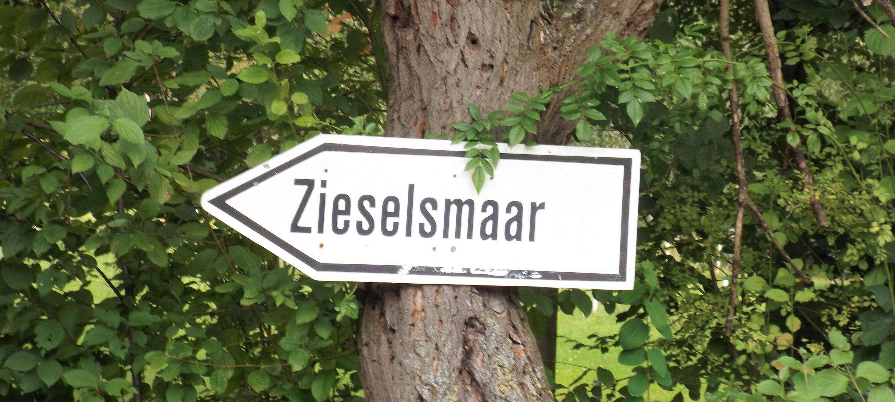 Zieselmaar See bei Kerpen