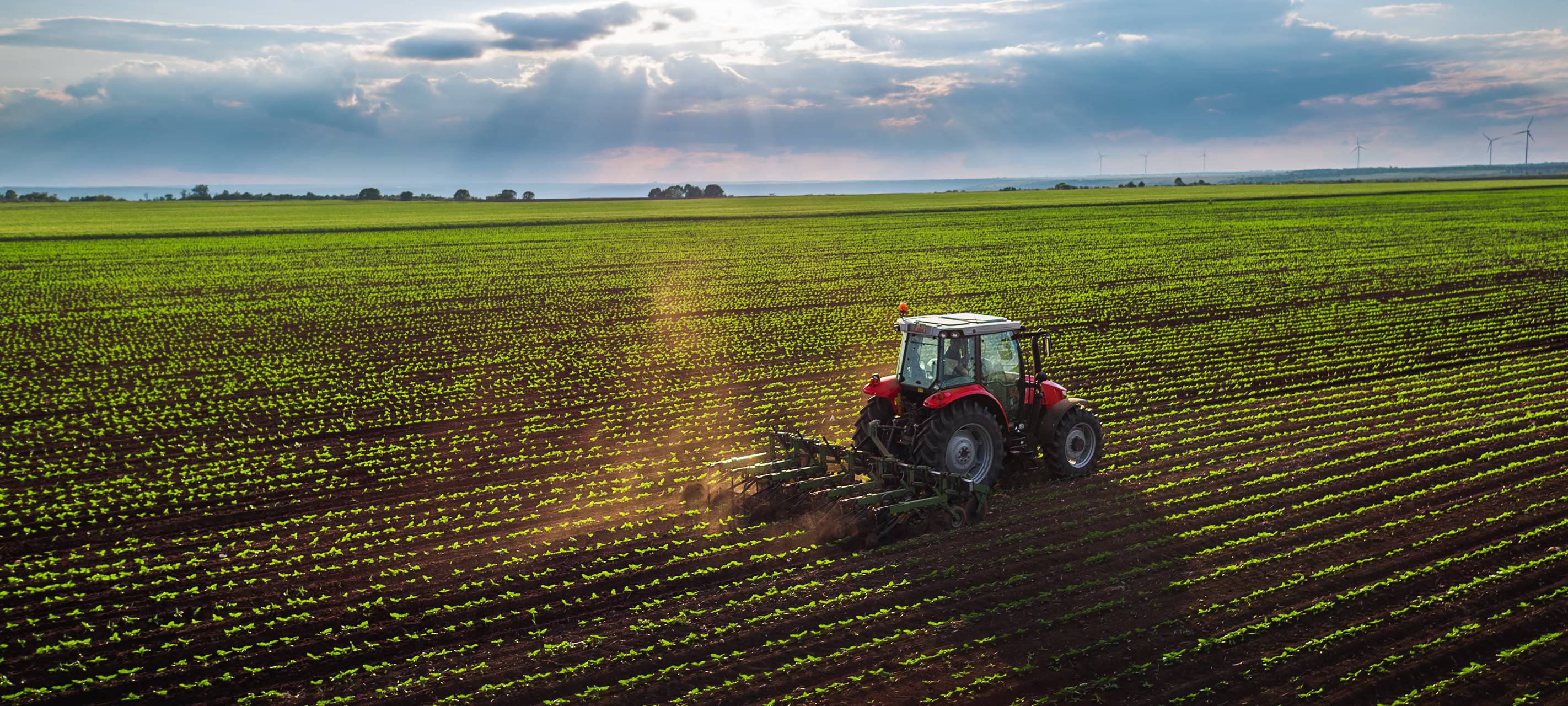Traktor auf dem Feld