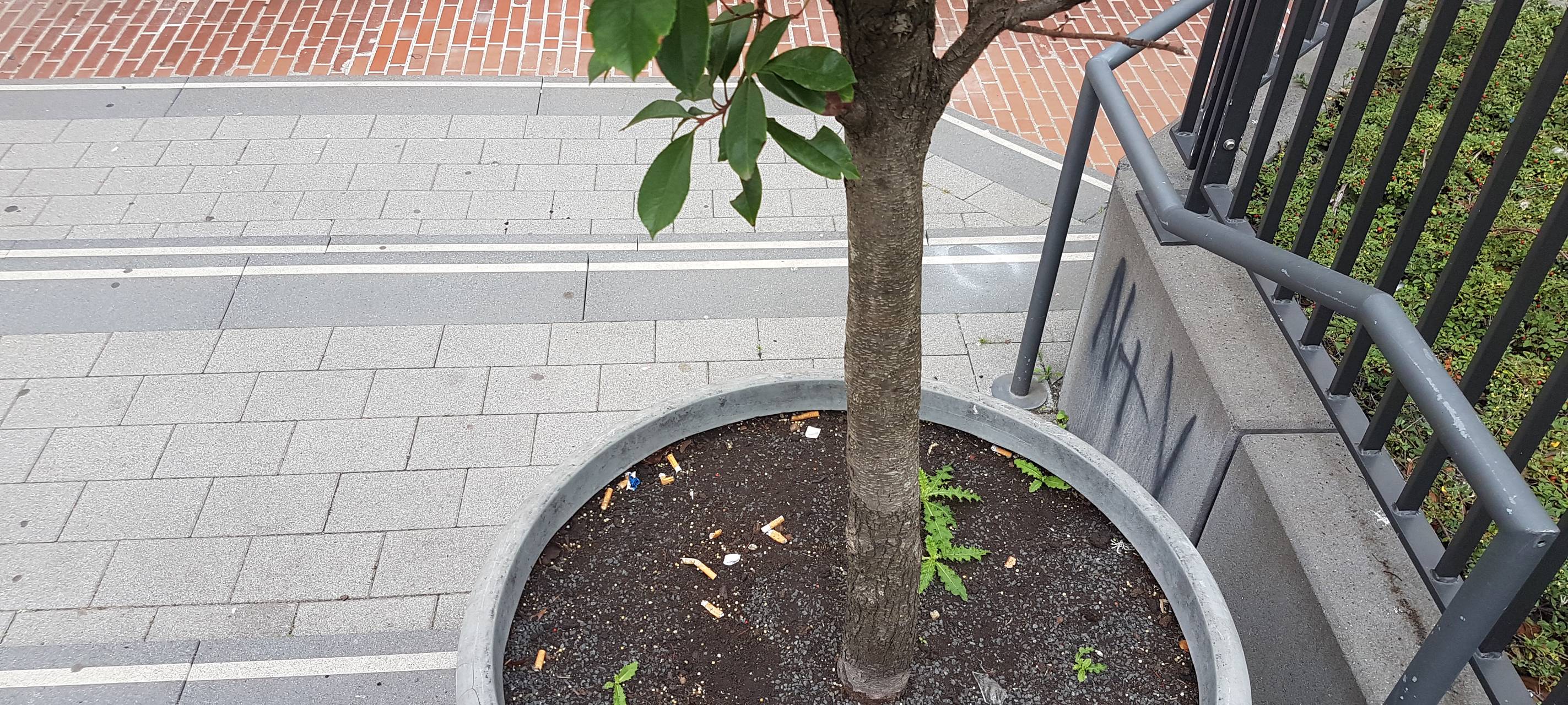 Kippenfriedhof Innenstadt