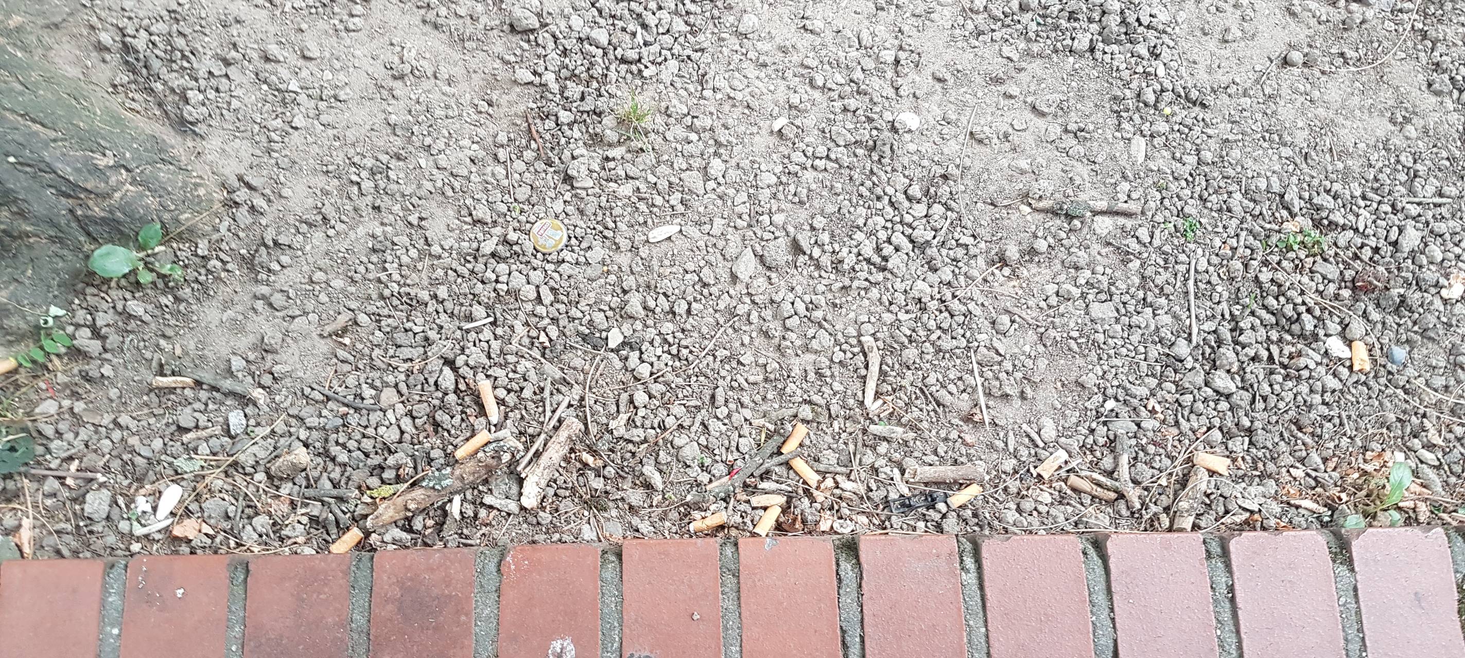 Kippenfriedhof Innenstadt