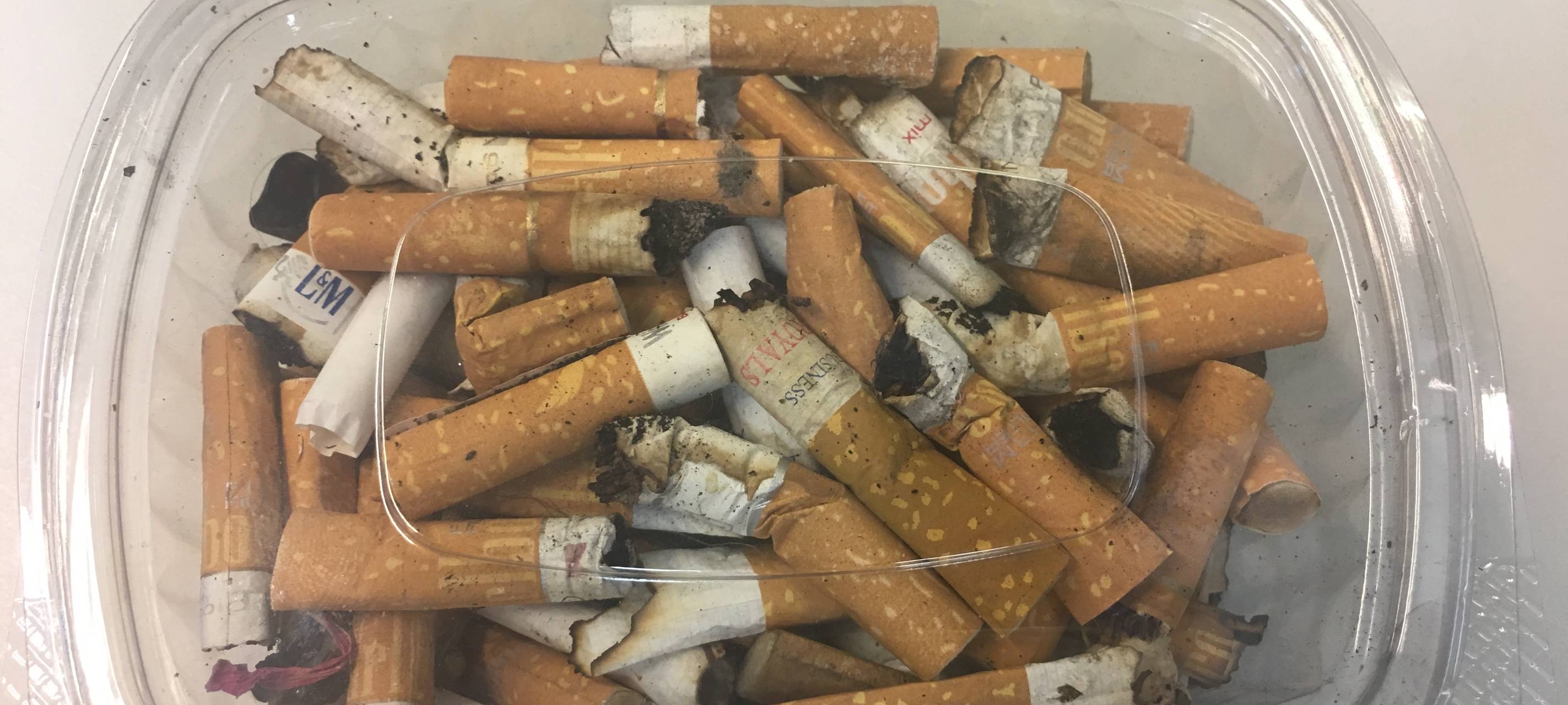 Kippenfriedhof Innenstadt