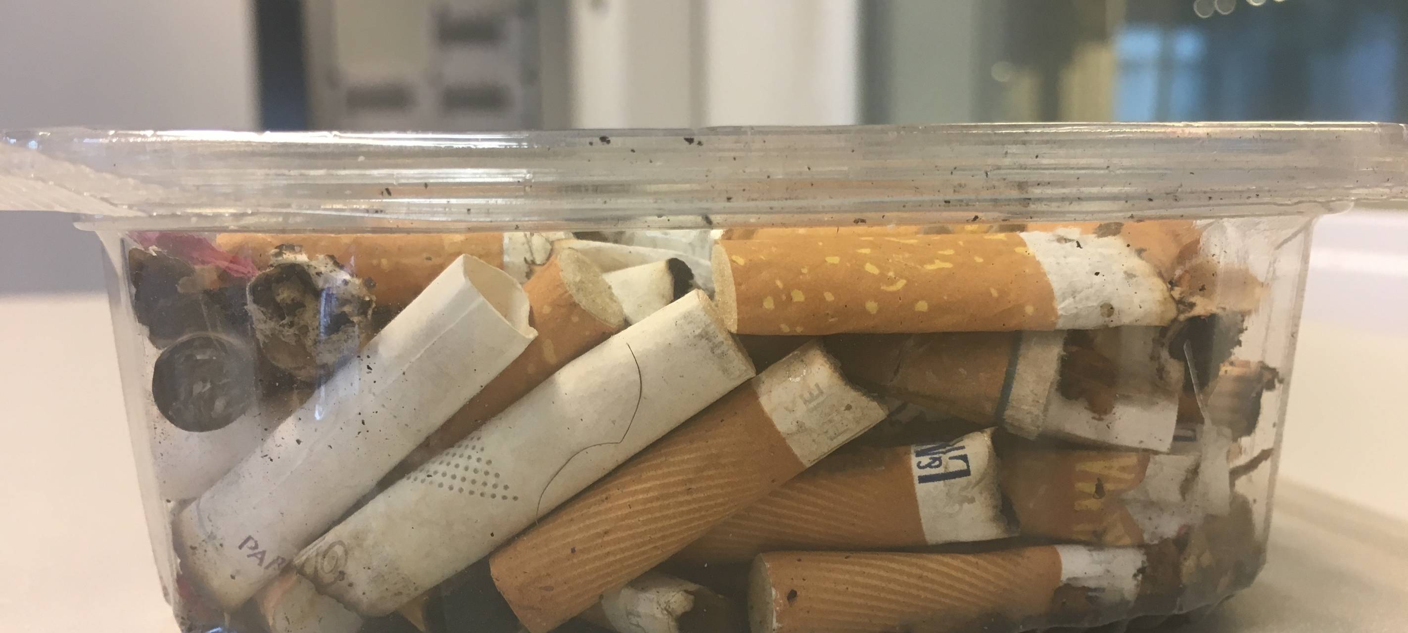 Kippenfriedhof Innenstadt