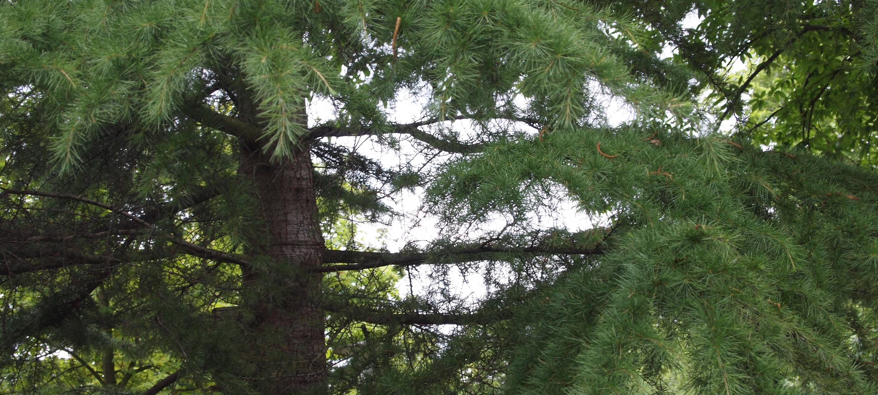 Klimaschutzpreis für Korschenbroich
