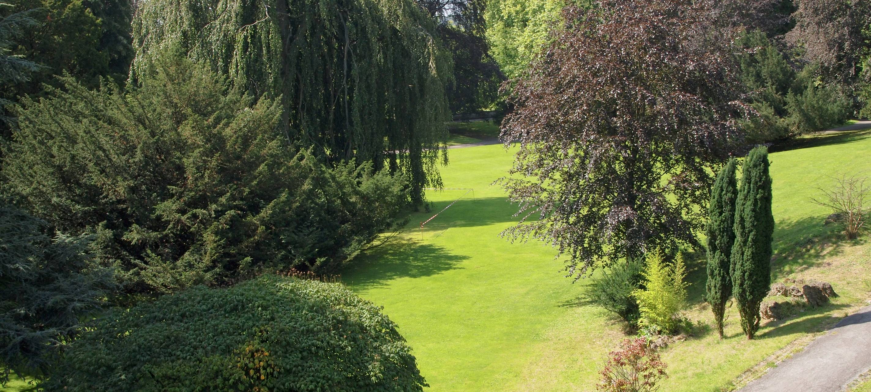 Vorsicht, Baum fällt!