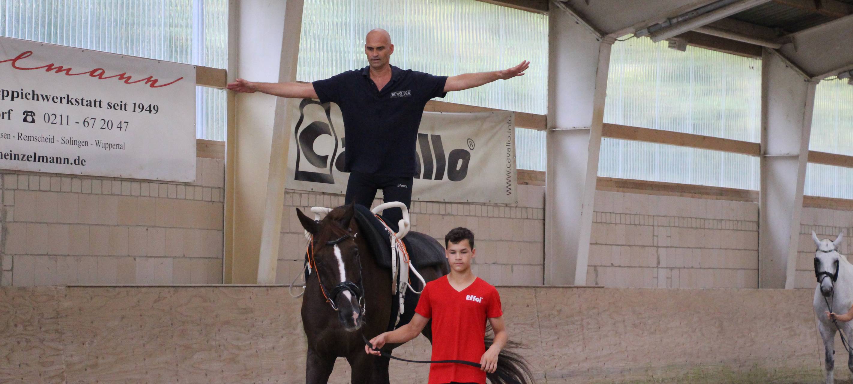 Selbstversuch: Voltigieren