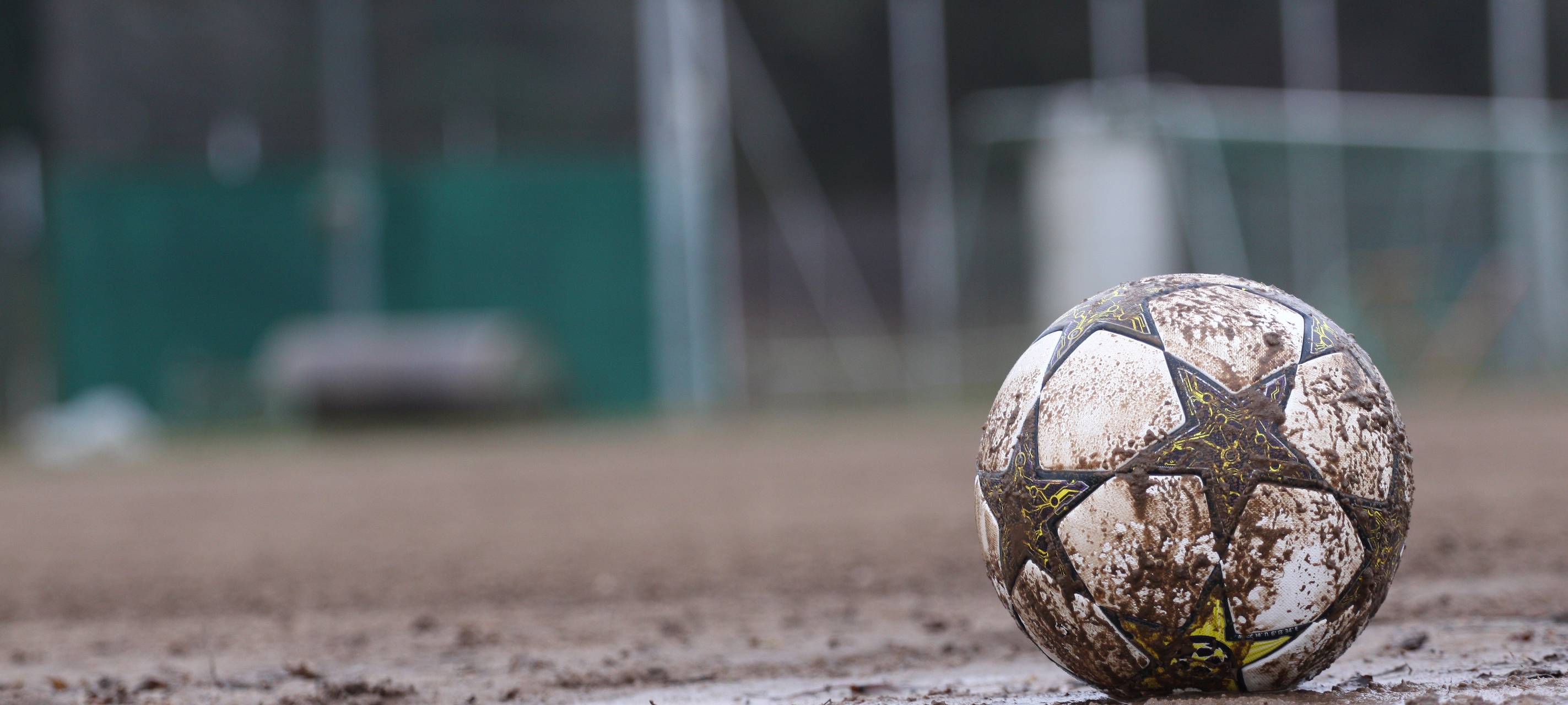 Kunstrasenplatz für Ludwig-Wolker-Sportanlage in Neuss?