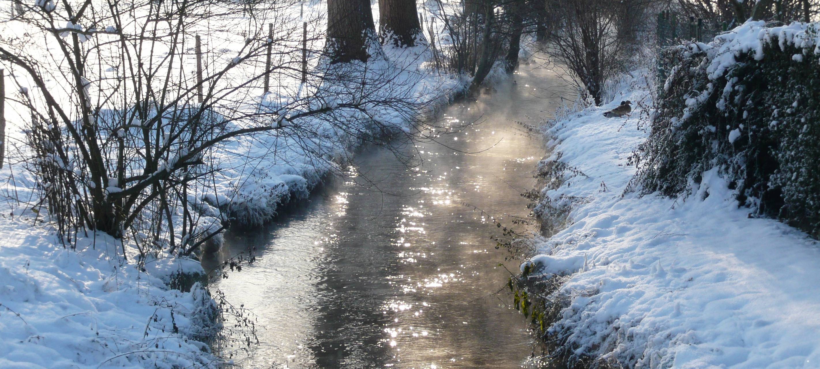 Rommerskirchen im Winter