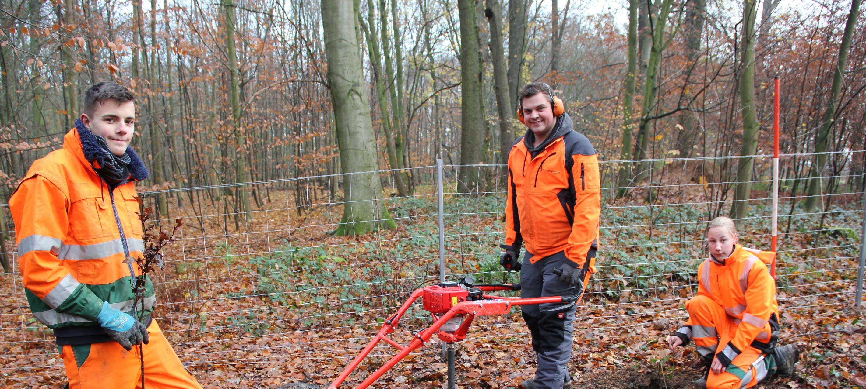 Neue Bäume für Meerbusch