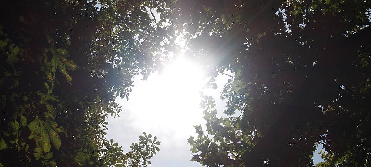 Ärger um Fuchsjagd in Grevenboich und Rommerskirchen