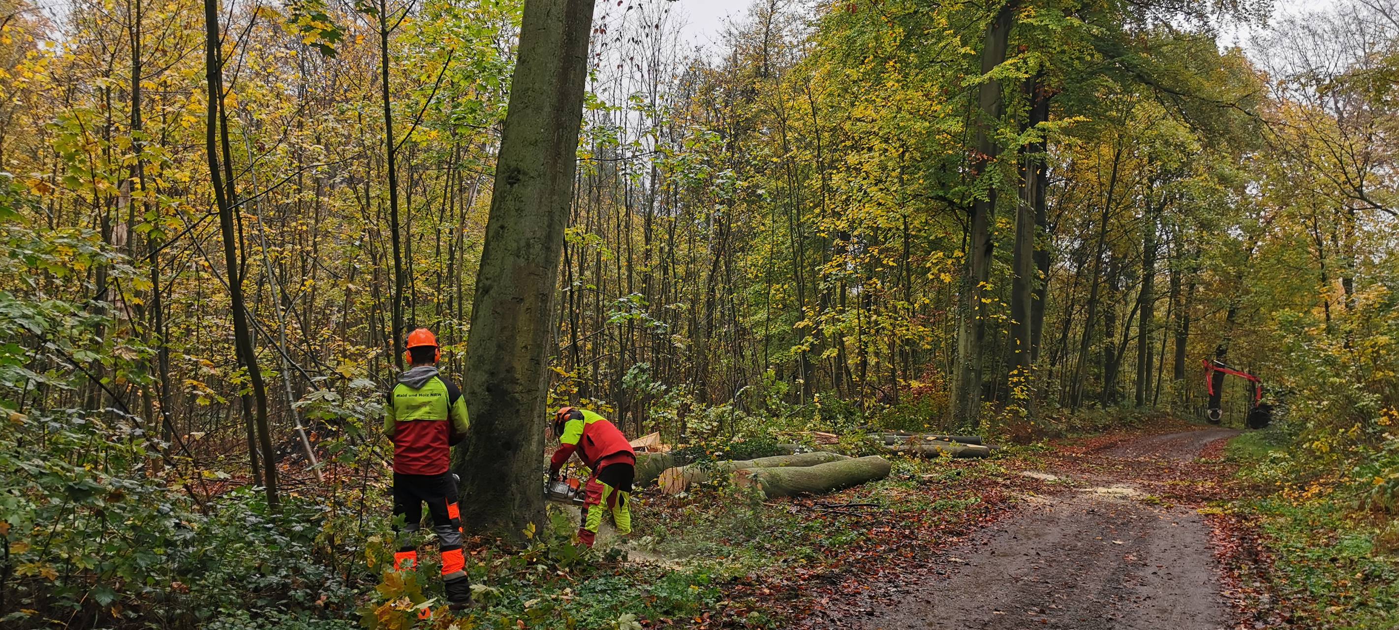 Unsere Serie: Ein Tag als...