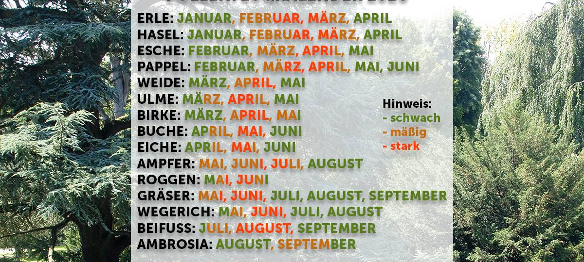 Verfrühte Pollenflugsaison