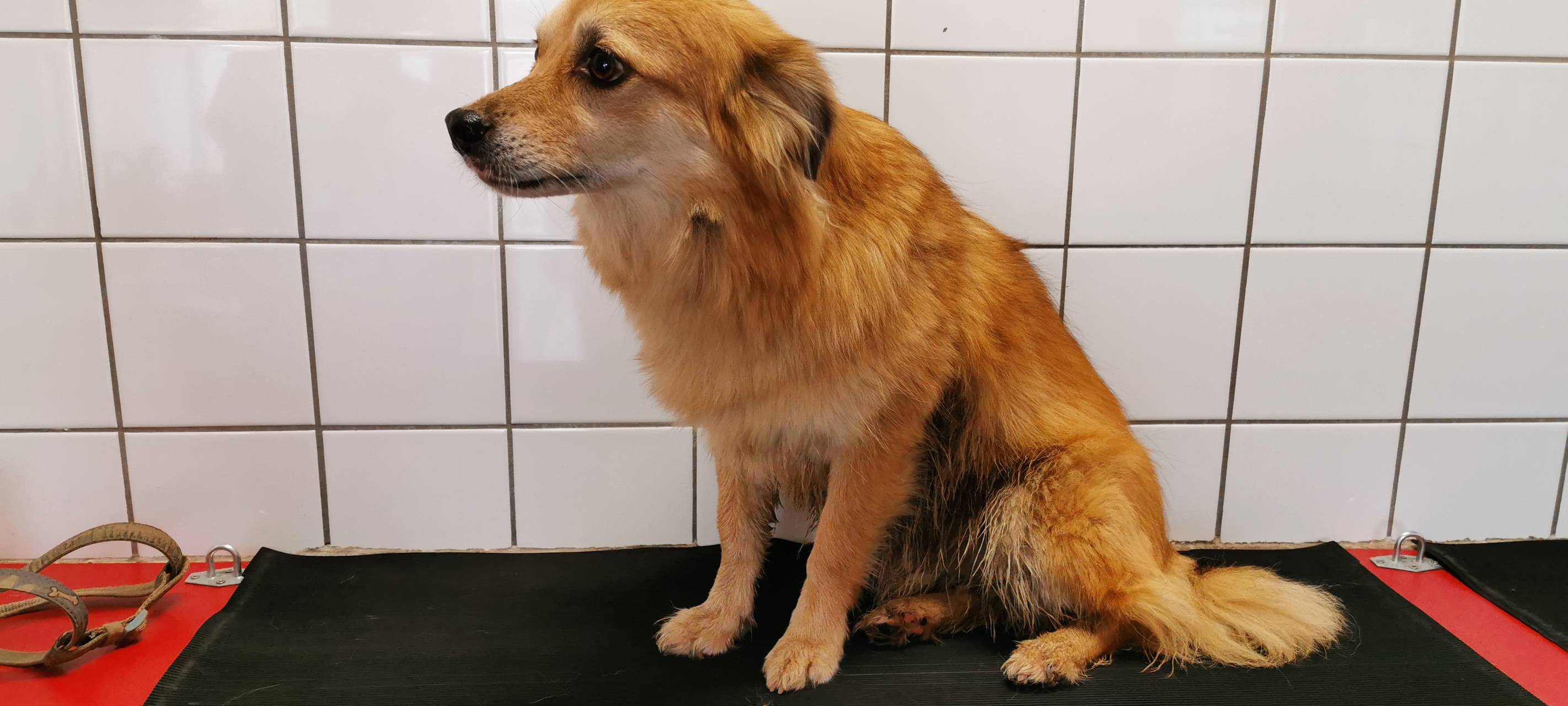 Unsere Serie: Ein Tag als...