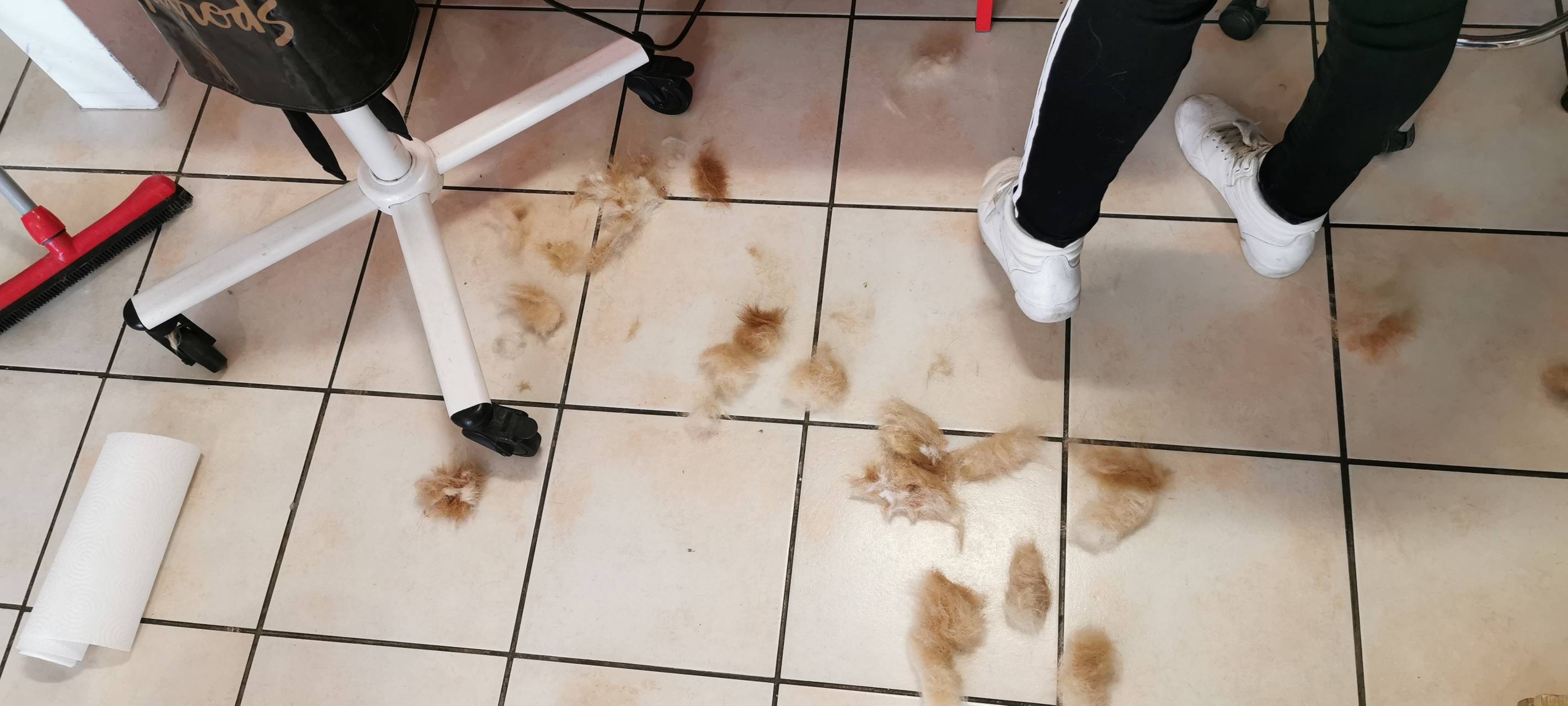 Unsere Serie: Ein Tag als...