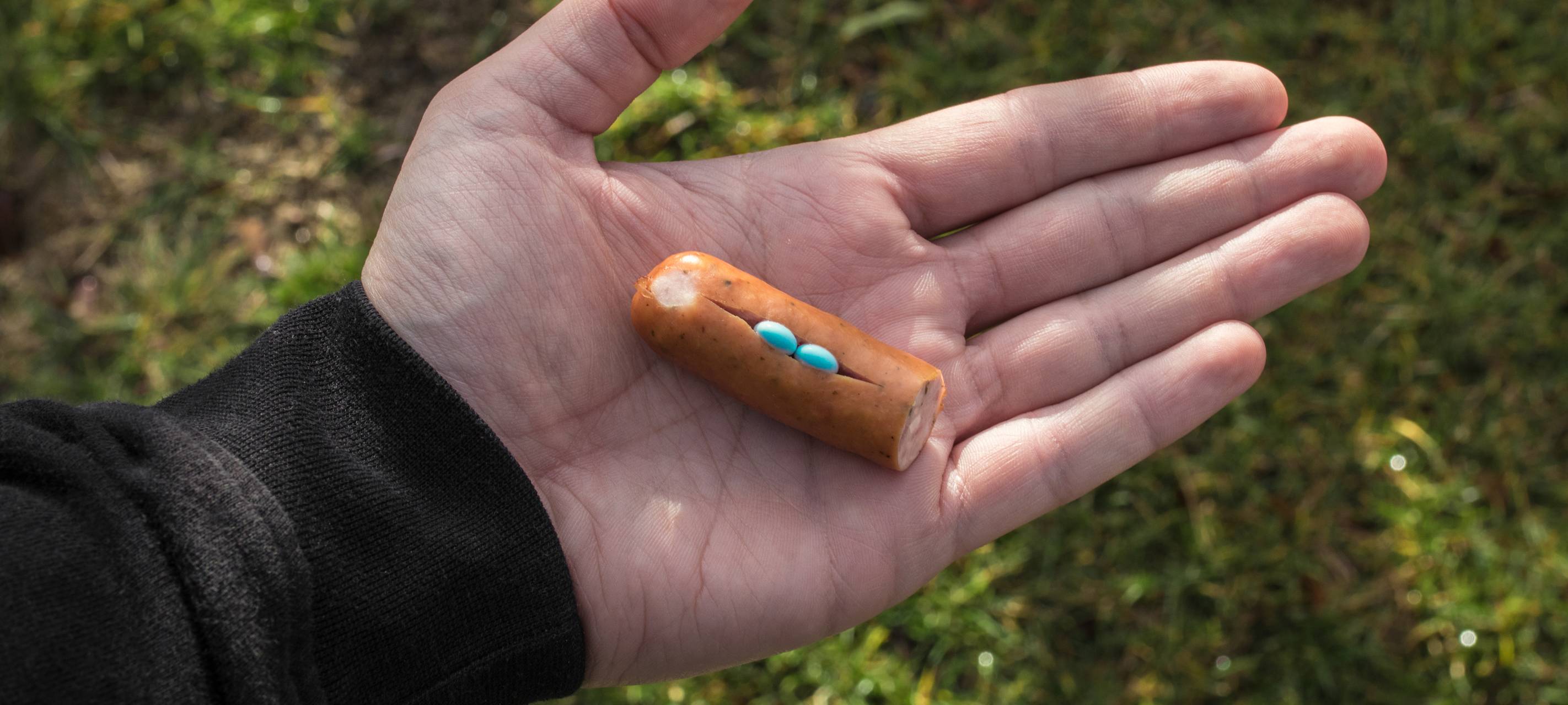 Hundegiftköder in Jüchen