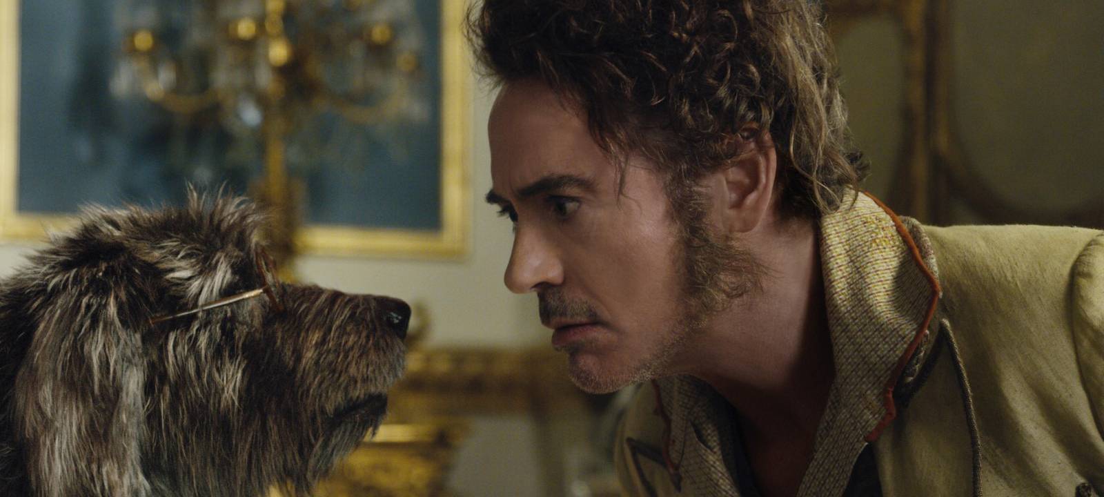 Dr. Dolittle und sein Hund.