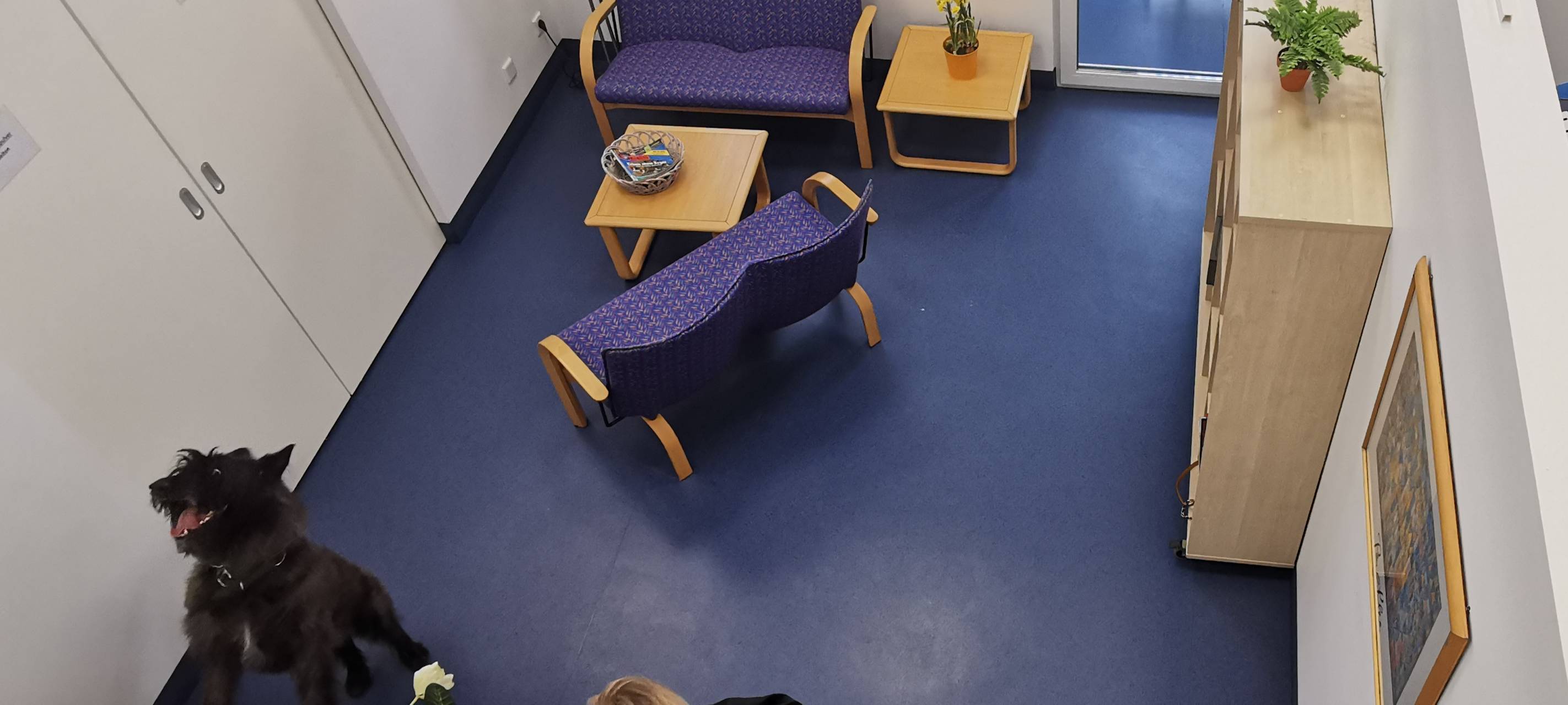 Datenspürhunde bundesweit gefragt