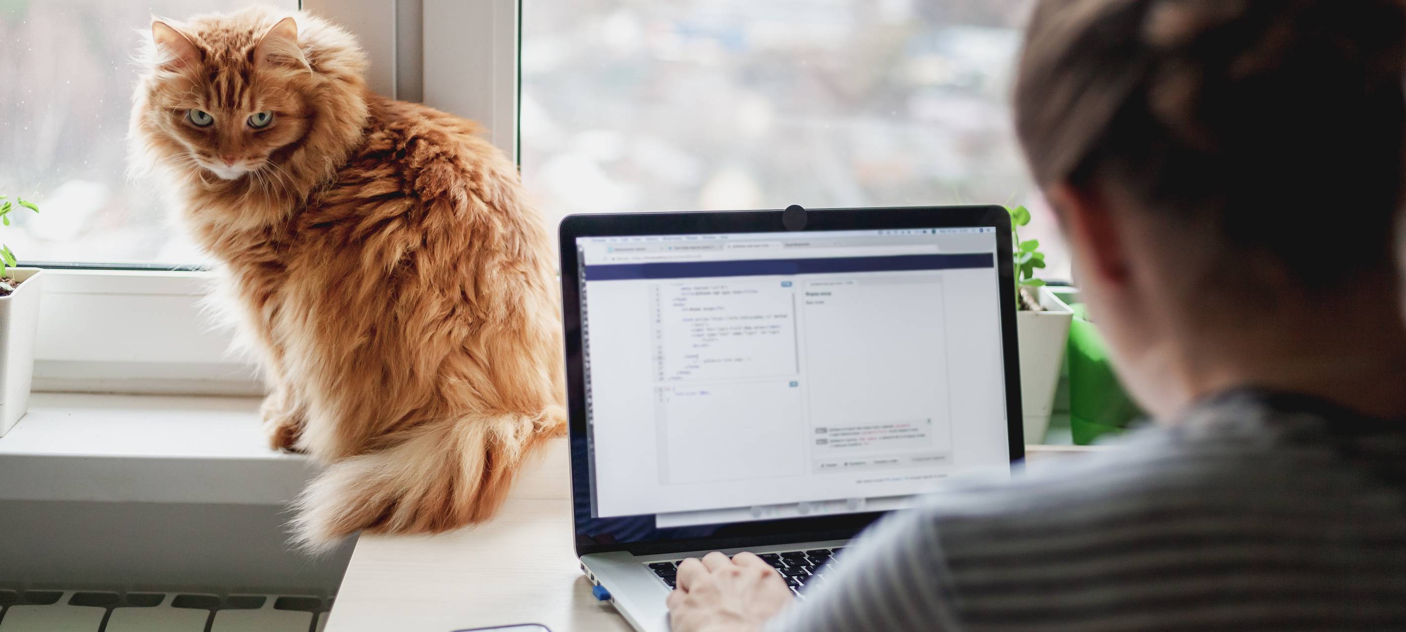 IHK: Unterstützung für Betriebe mit Home Office