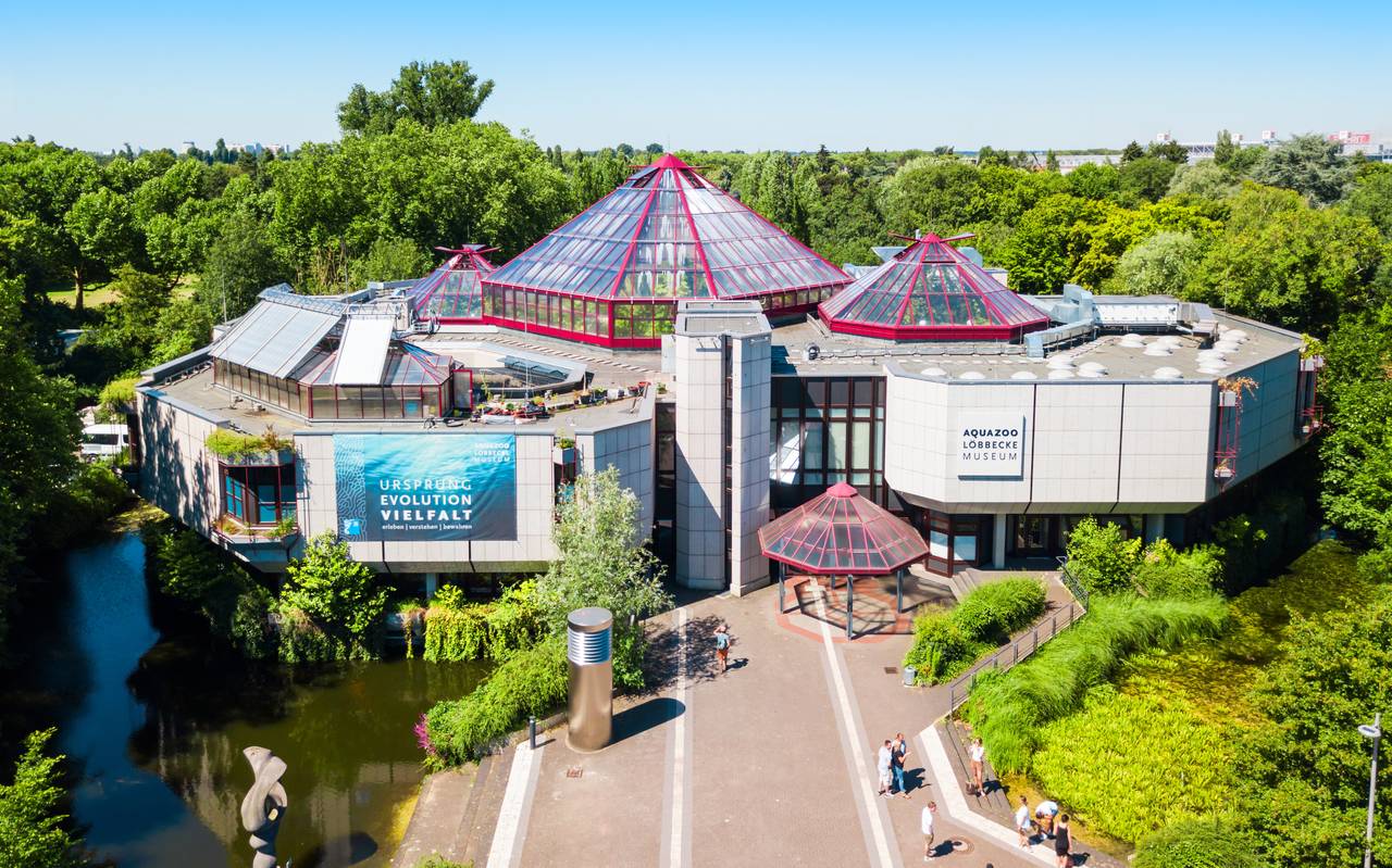 Aquazoo öffnet wieder - NE-WS 89.4 Aquazoo öffnet wieder - NE-WS 89.4