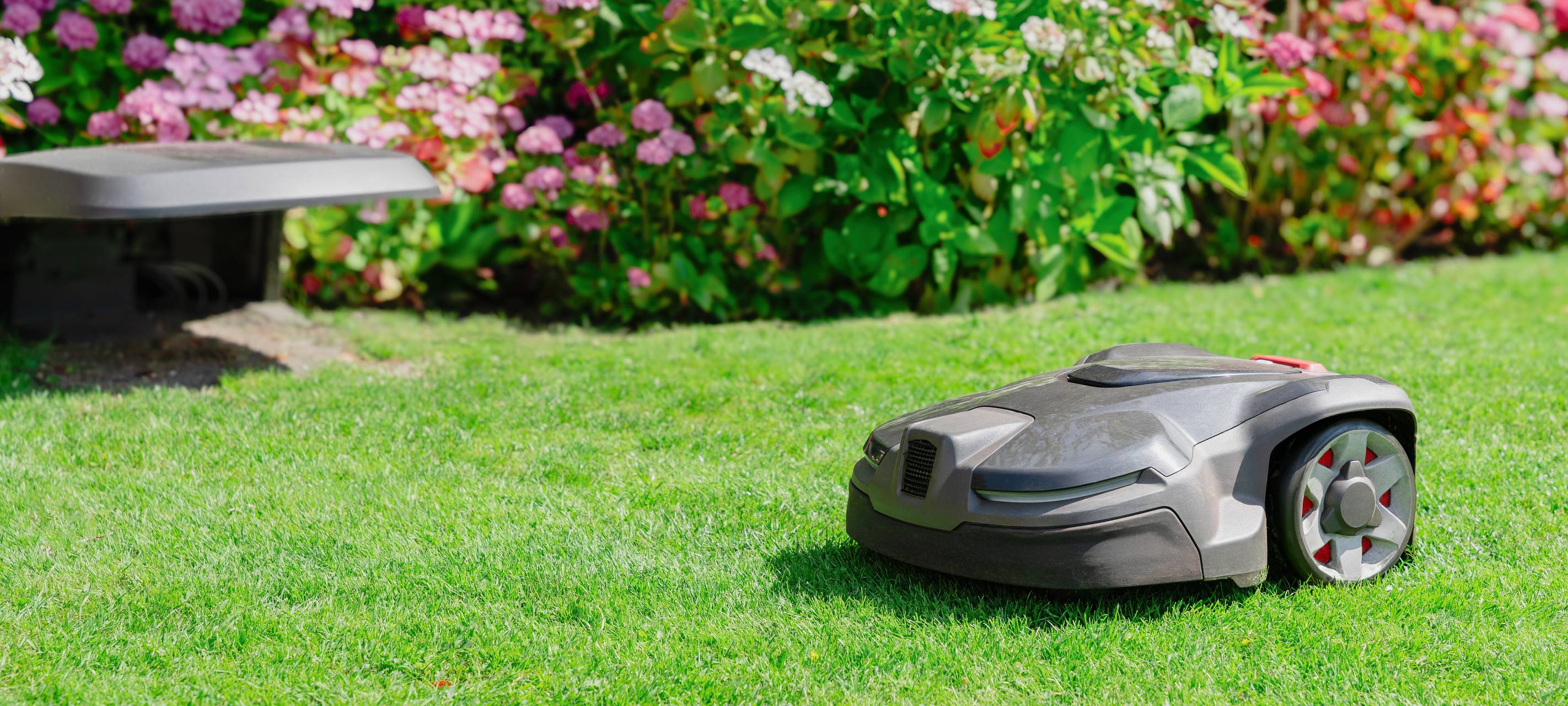 Politiker fordern Nachtfahrverbot für Mähroboter