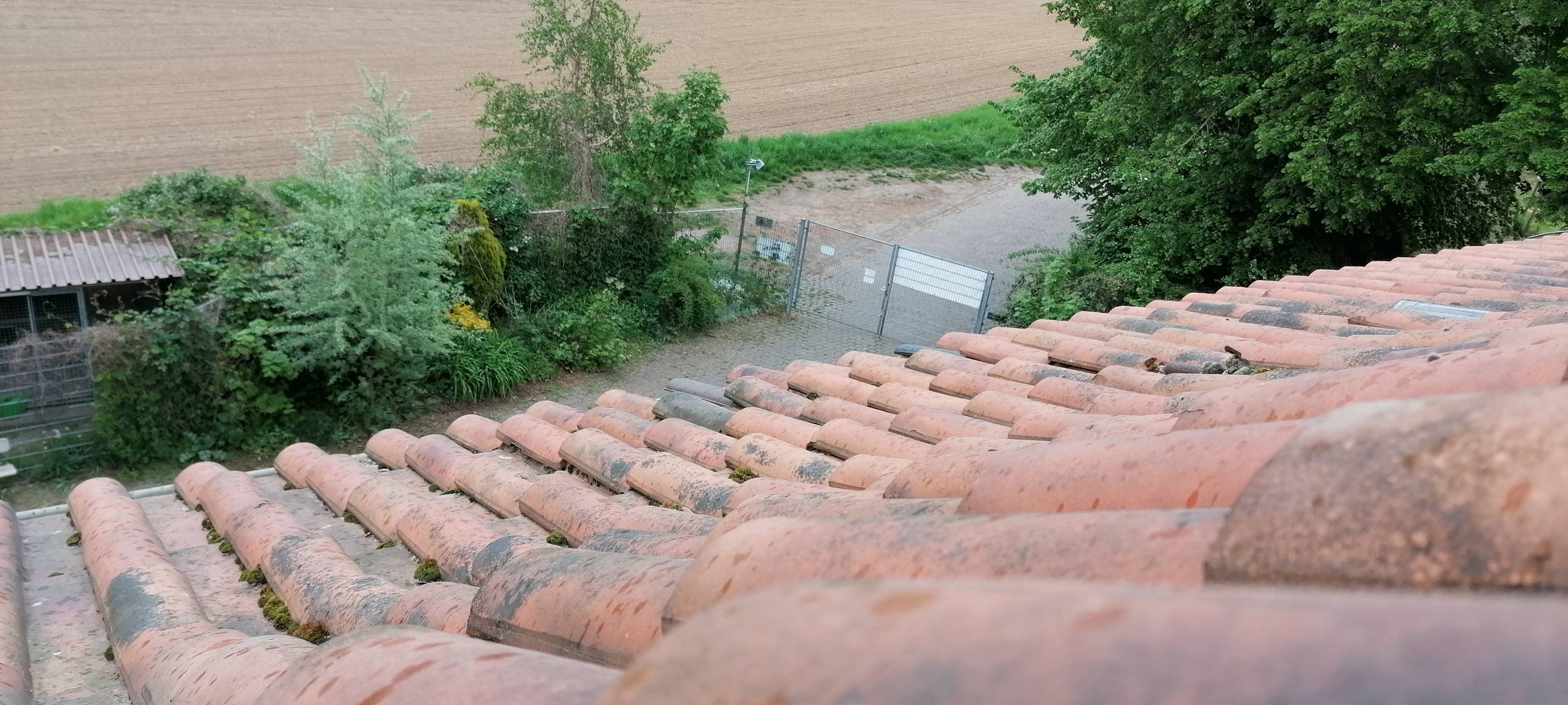 Tierheim Oekoven braucht finanzielle Hilfe