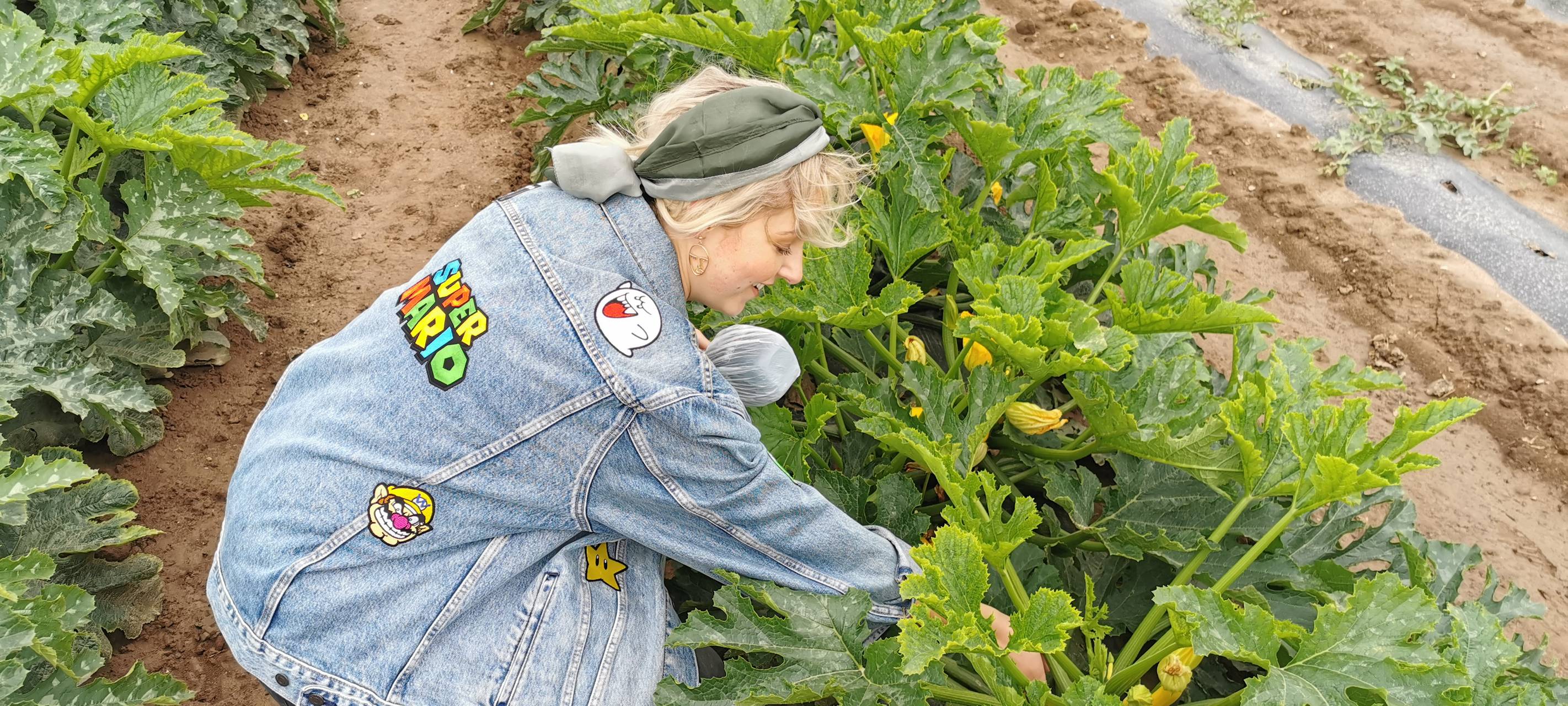 Den Gemüse-Einkauf selbst pflücken