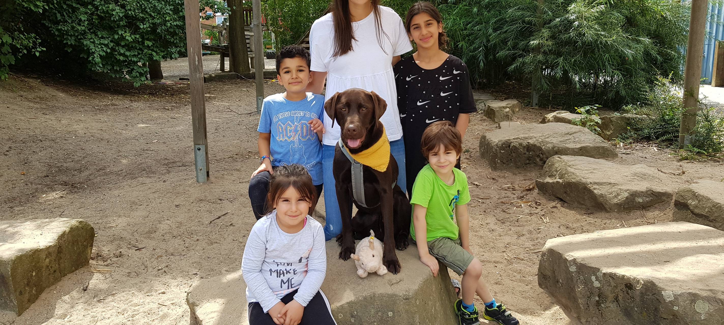 Kita-Hund Bruno ganz brav auf einem Stein zwischen Kindern