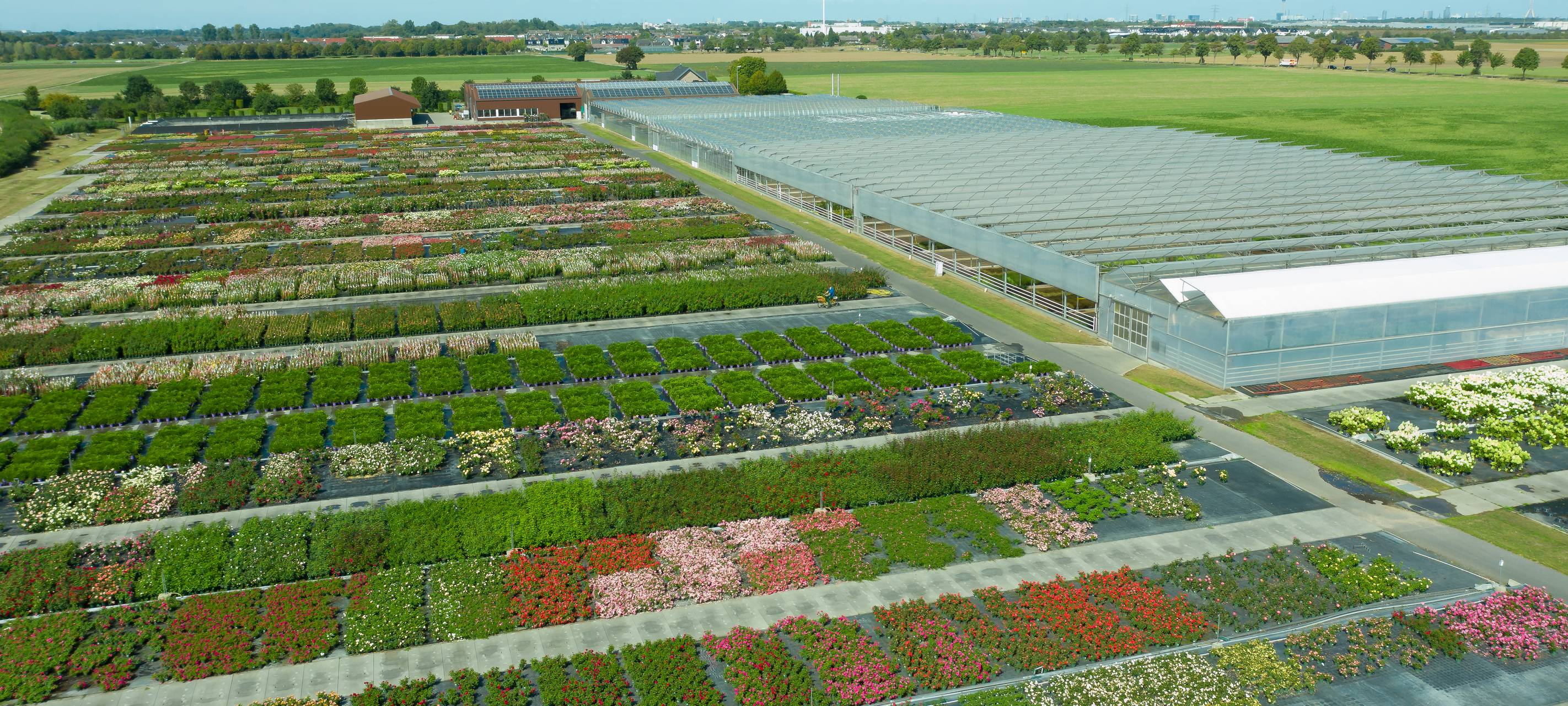 Unterwegs auf dem Rosenhof Odendahl in Neuss