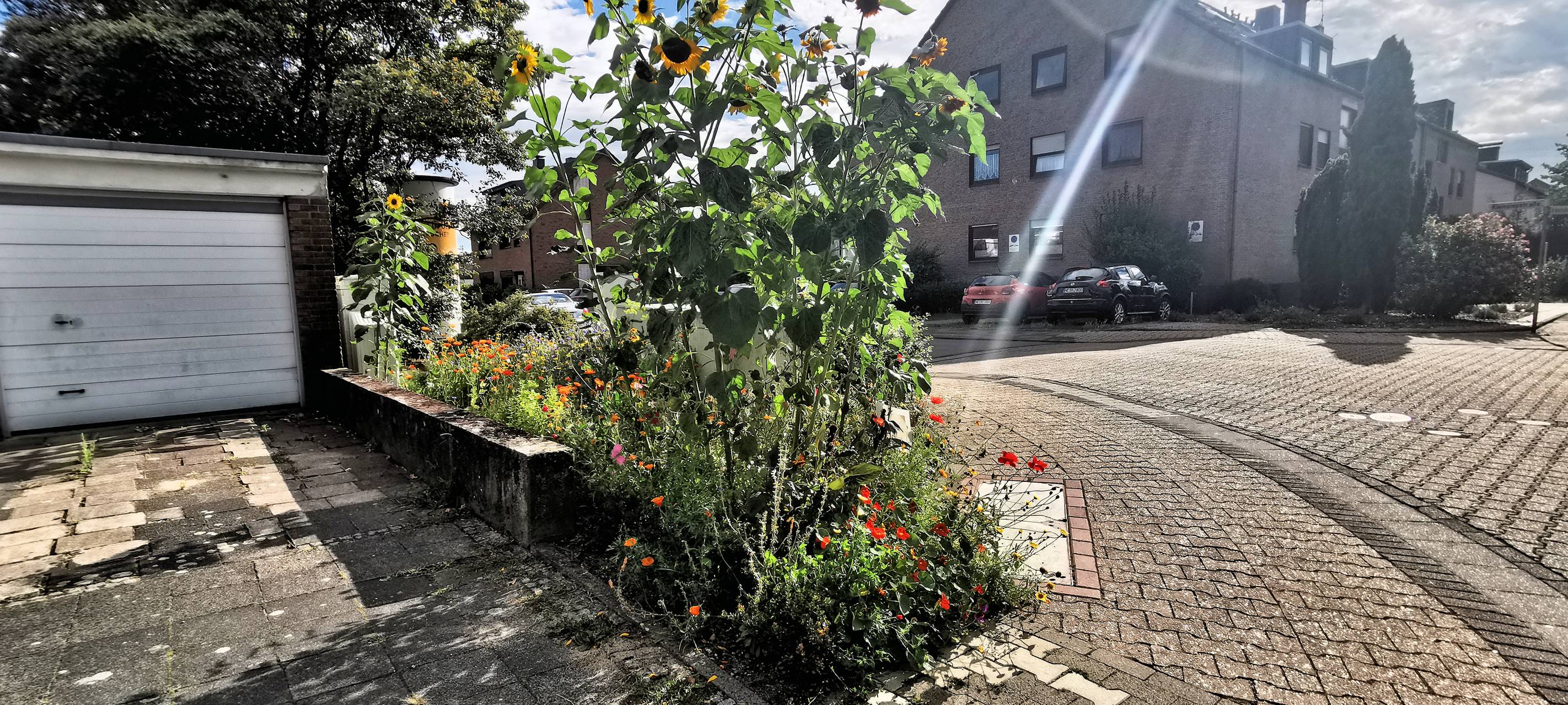 Endspurt im Kaarster Grünflächen-Wettbewerb