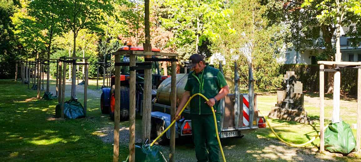 Stadt Dormagen setzt auf Bewässerungssäcke für Bäume