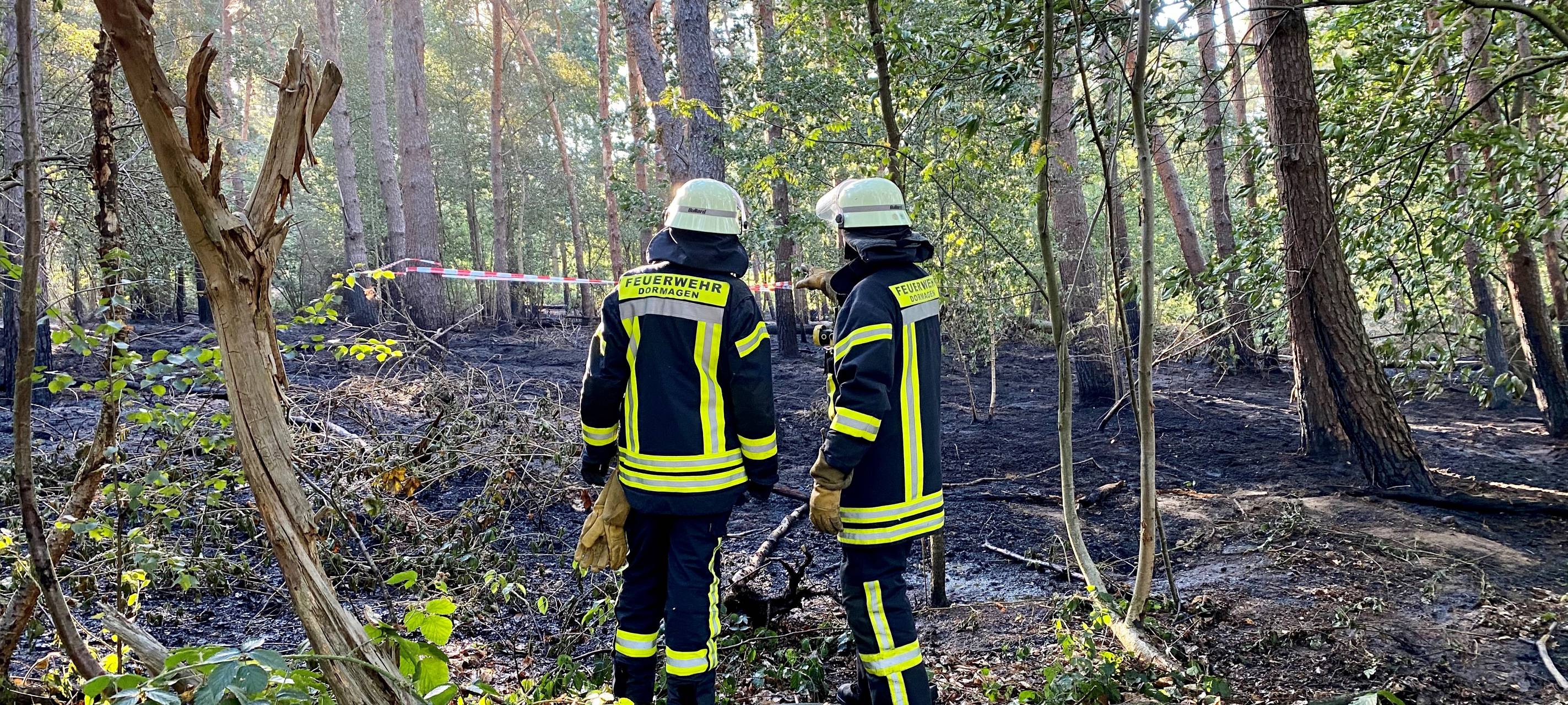 Waldbrandgefahr im Rhein-Kreis Neuss steigt