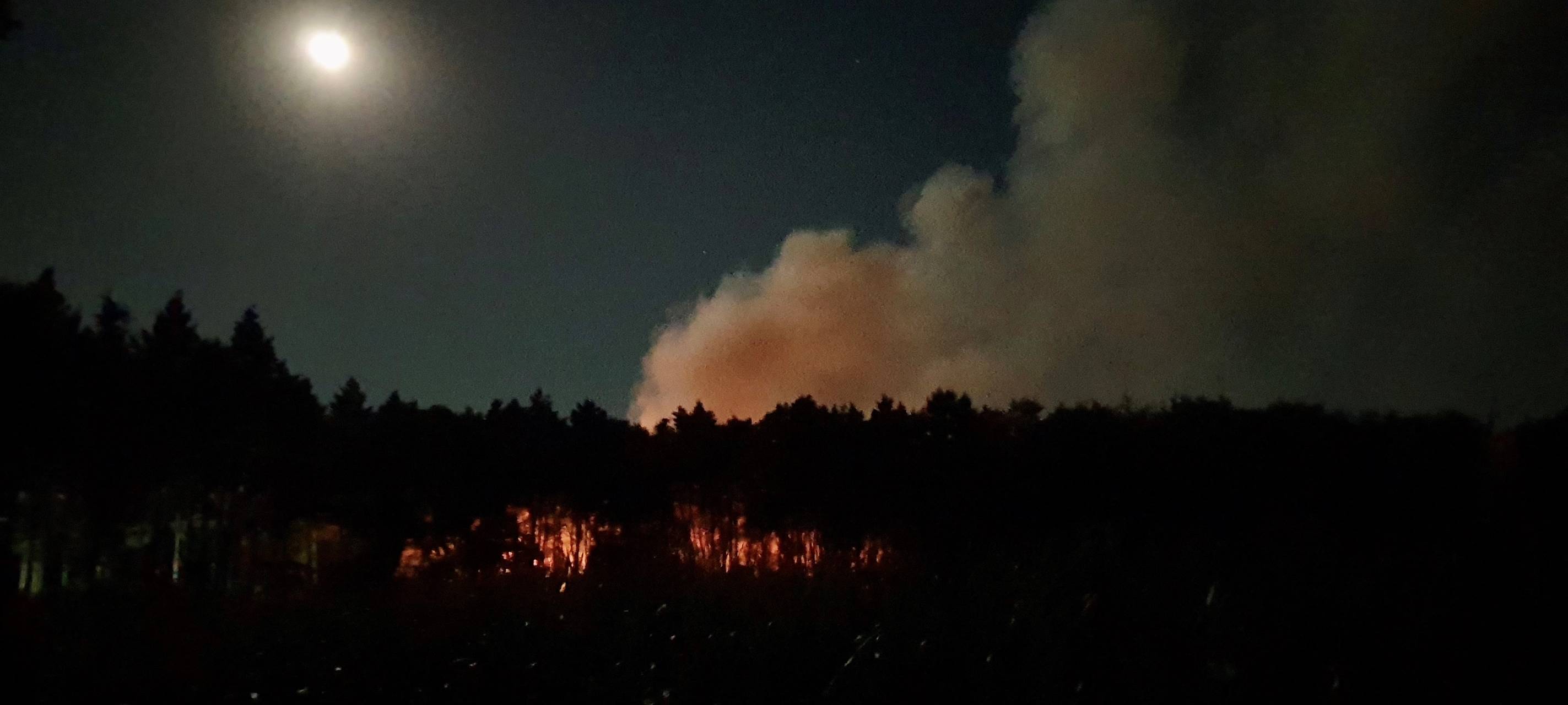 Hohe Waldbrandgefahr im Rhein-Kreis Neuss