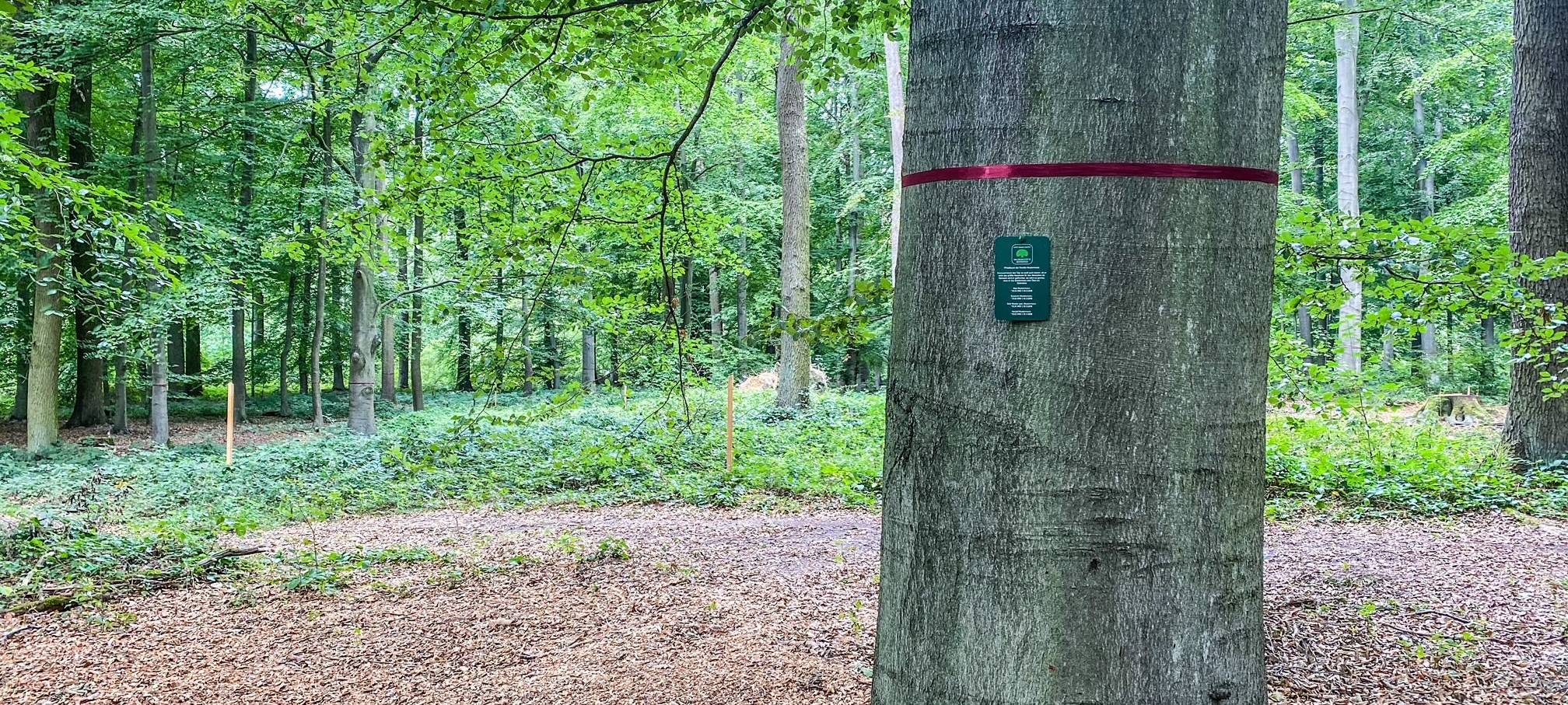 Bestattungswälder in Meerbusch und Dormagen