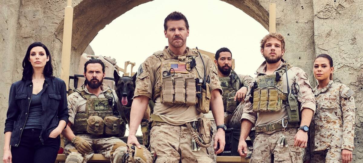 Die Seals sind perfekt ausgebildet.