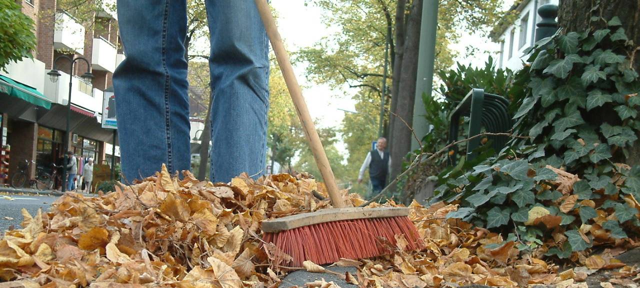 Laubbeseitigung im Rhein-Kreis Neuss: Wer ist zuständig?