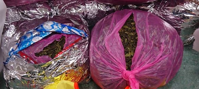 Neusser Zoll entdeckt illegale Kaudroge