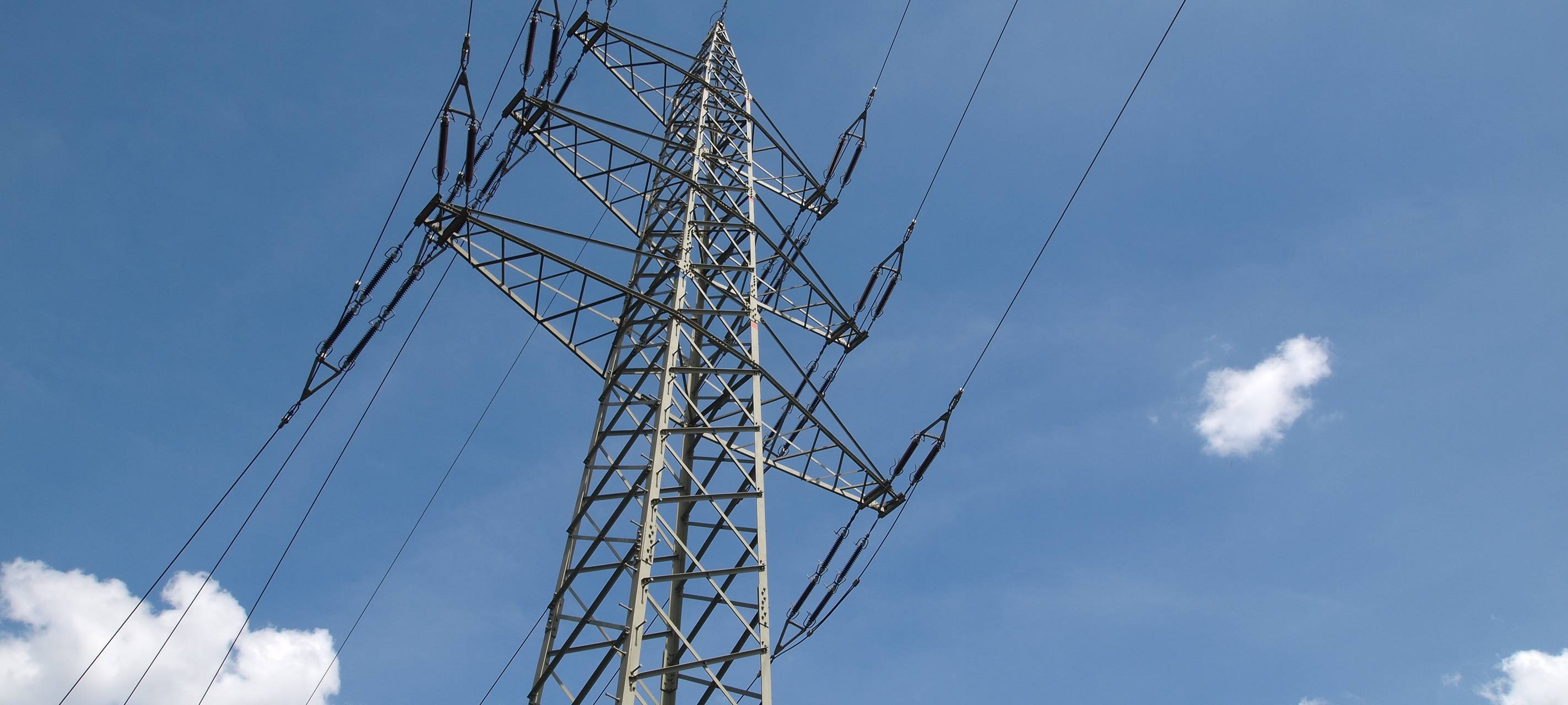 Bäume an Stromleitungen in Neuss werden geschnitten