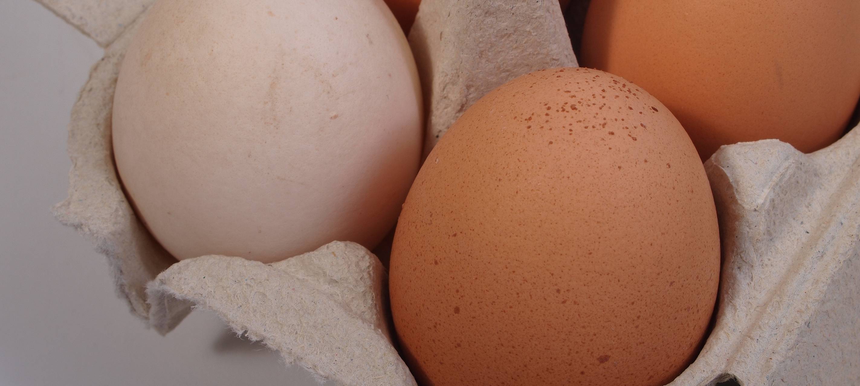 Vor Ostern werden Eier im Kreis knapp