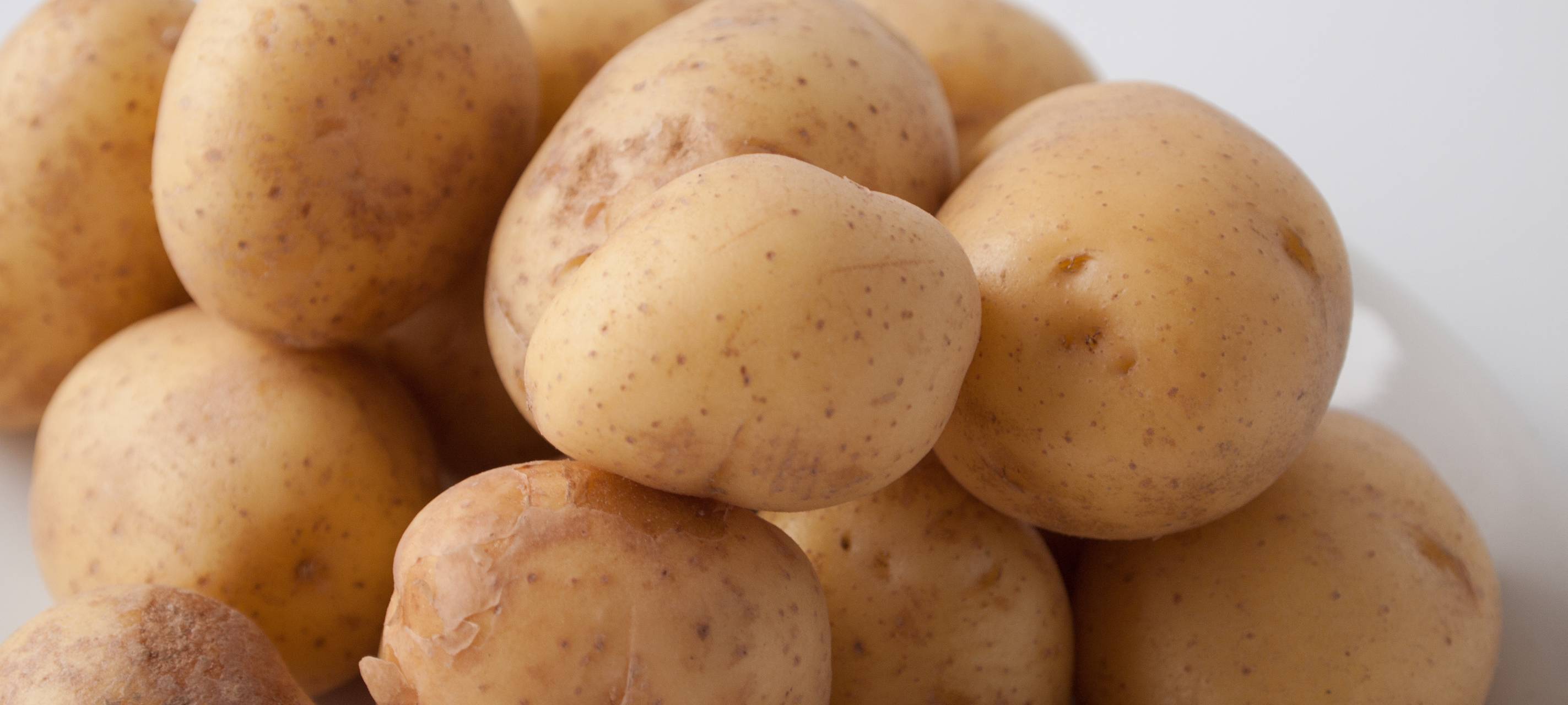 Kartoffelbauern im Kreis stehen vor großen Problemen